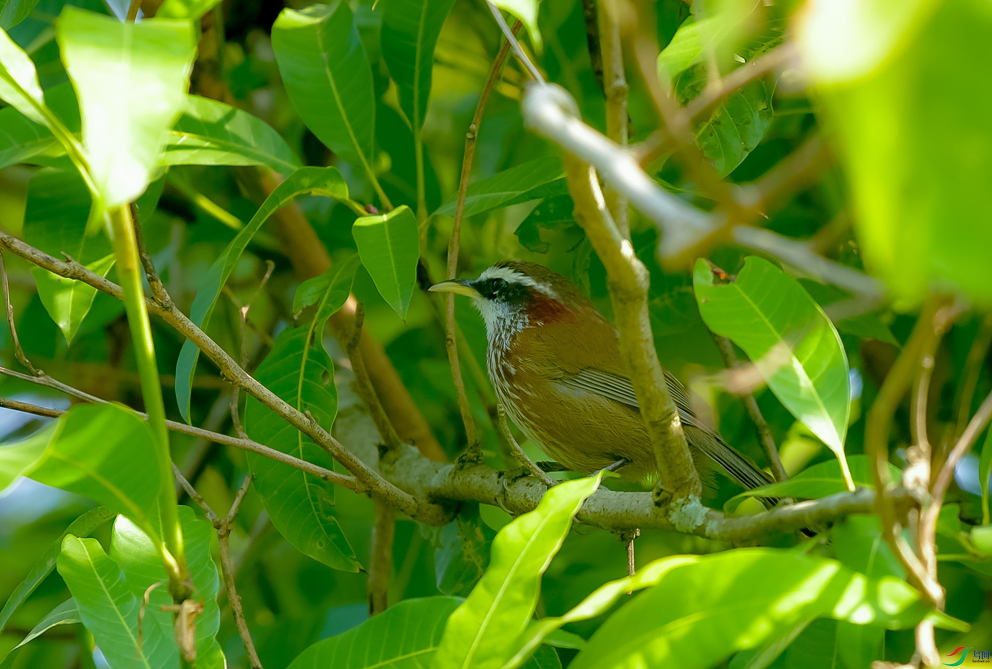 DSC_4921.JPG