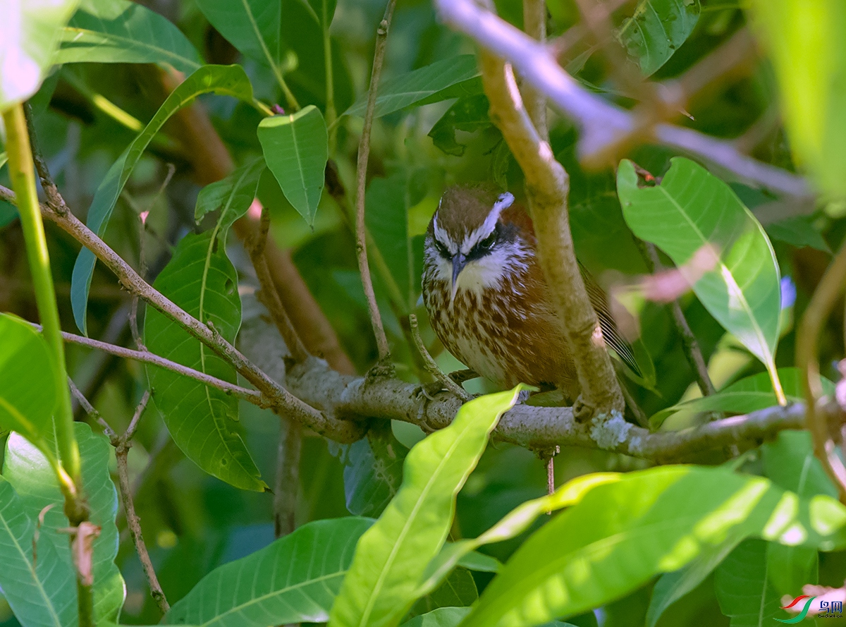 DSC_4925.JPG