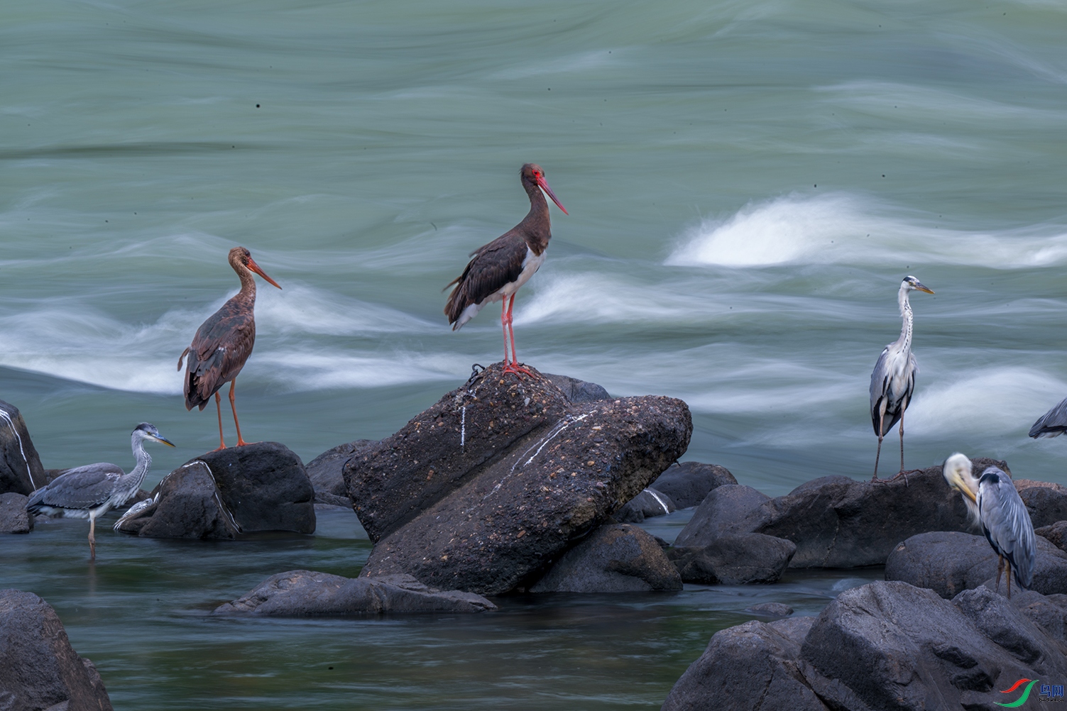 DSC_3842.jpg