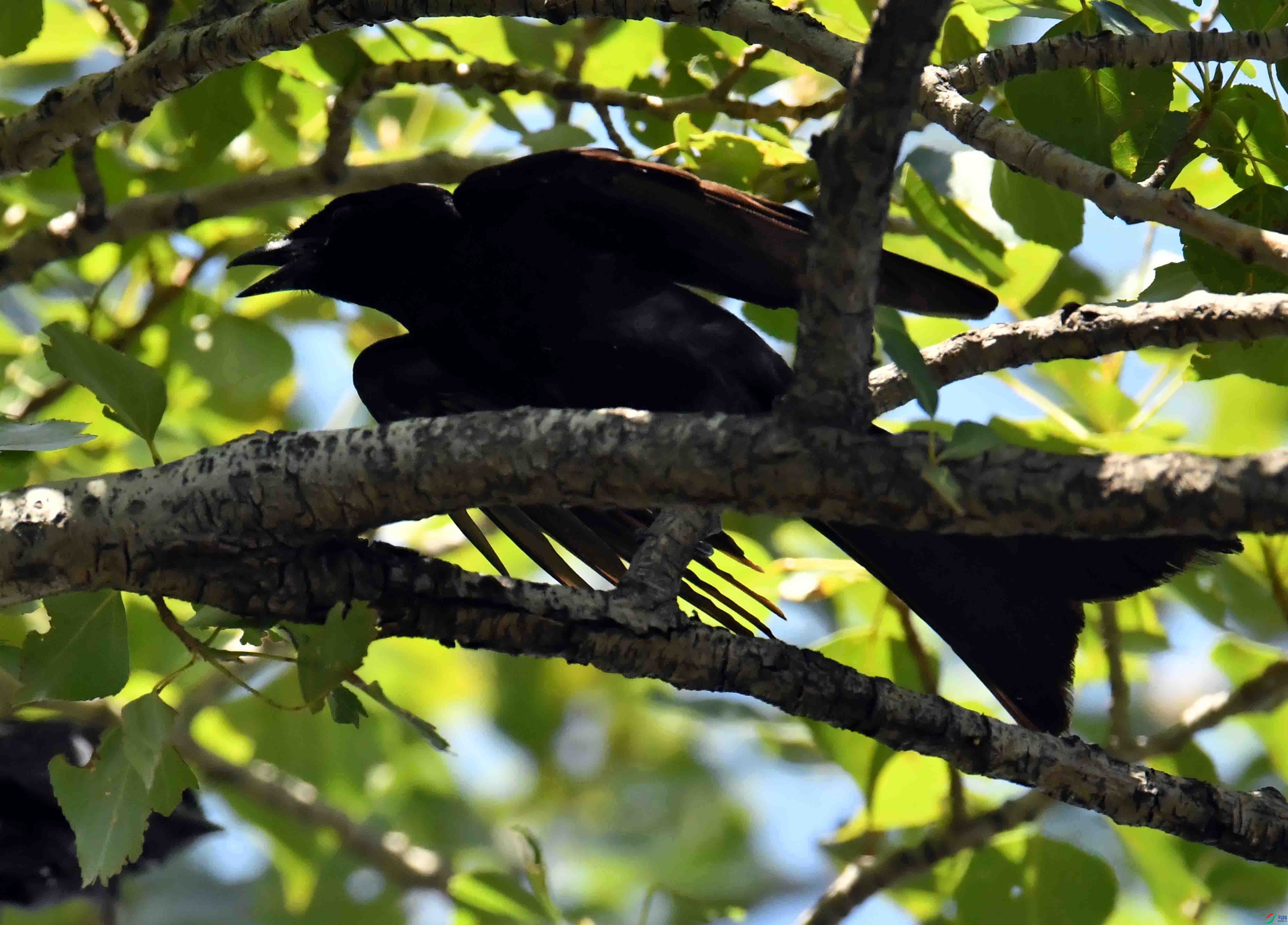 DSC_0046.JPG