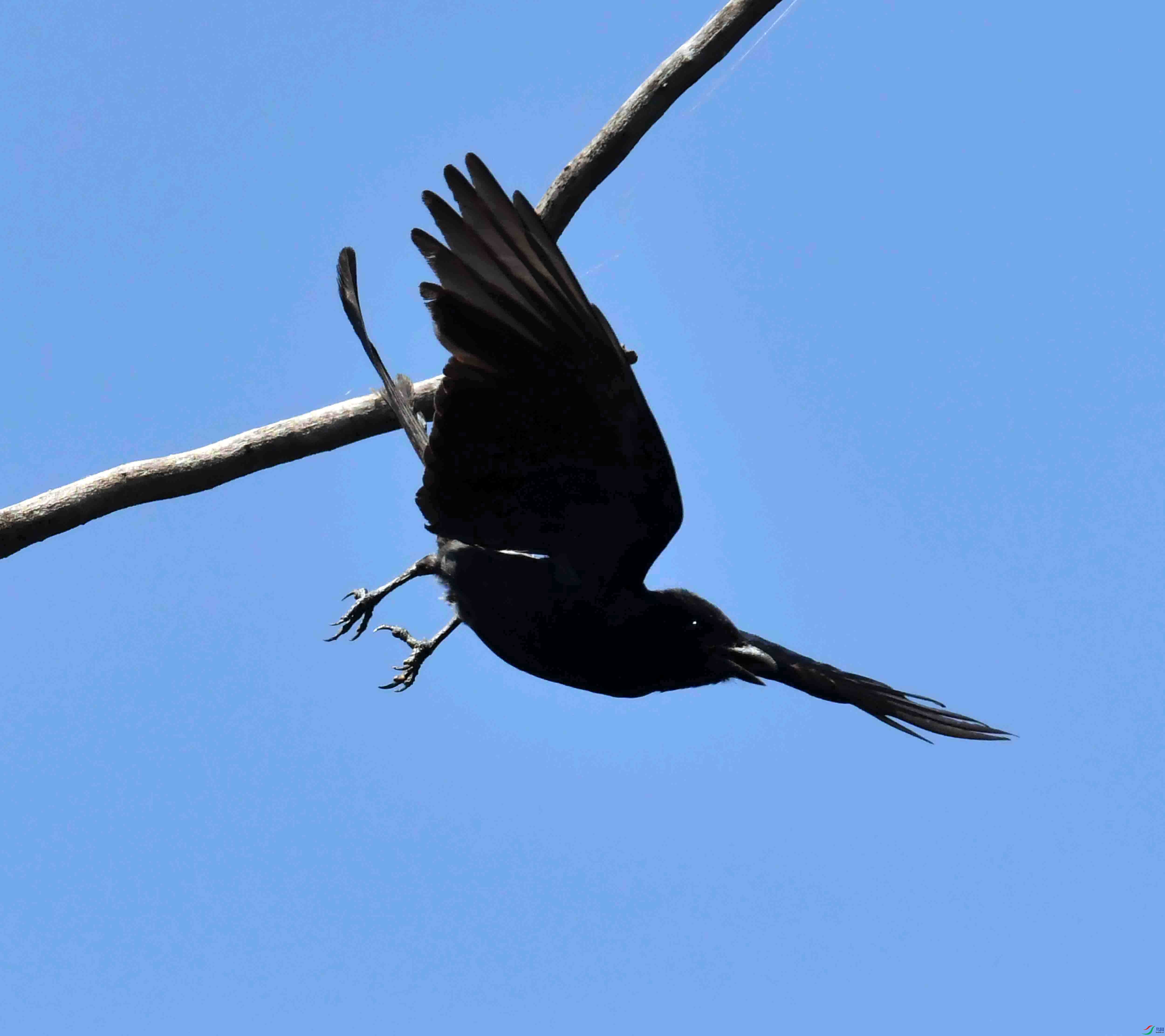DSC_0122.JPG