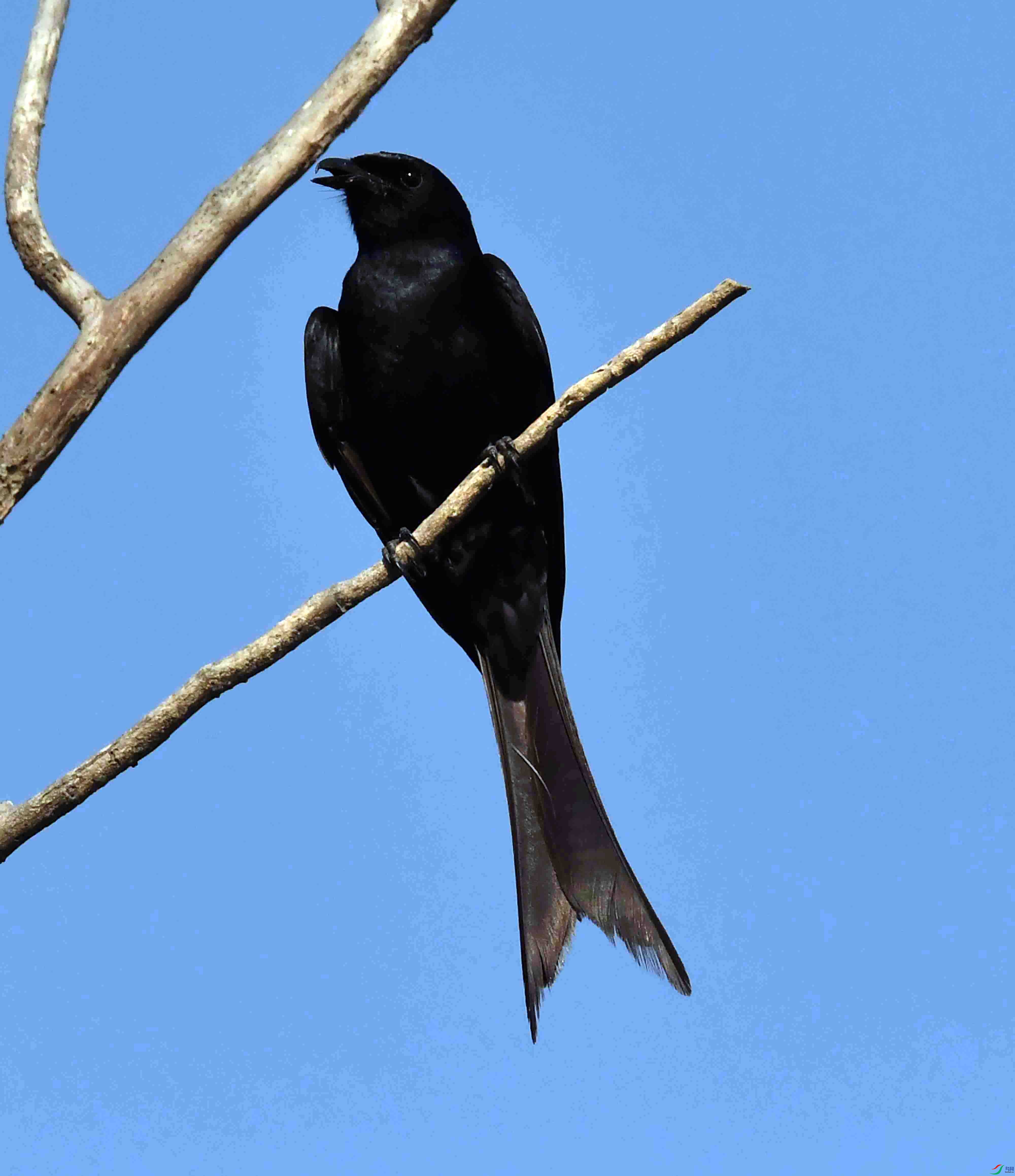 DSC_0153.JPG