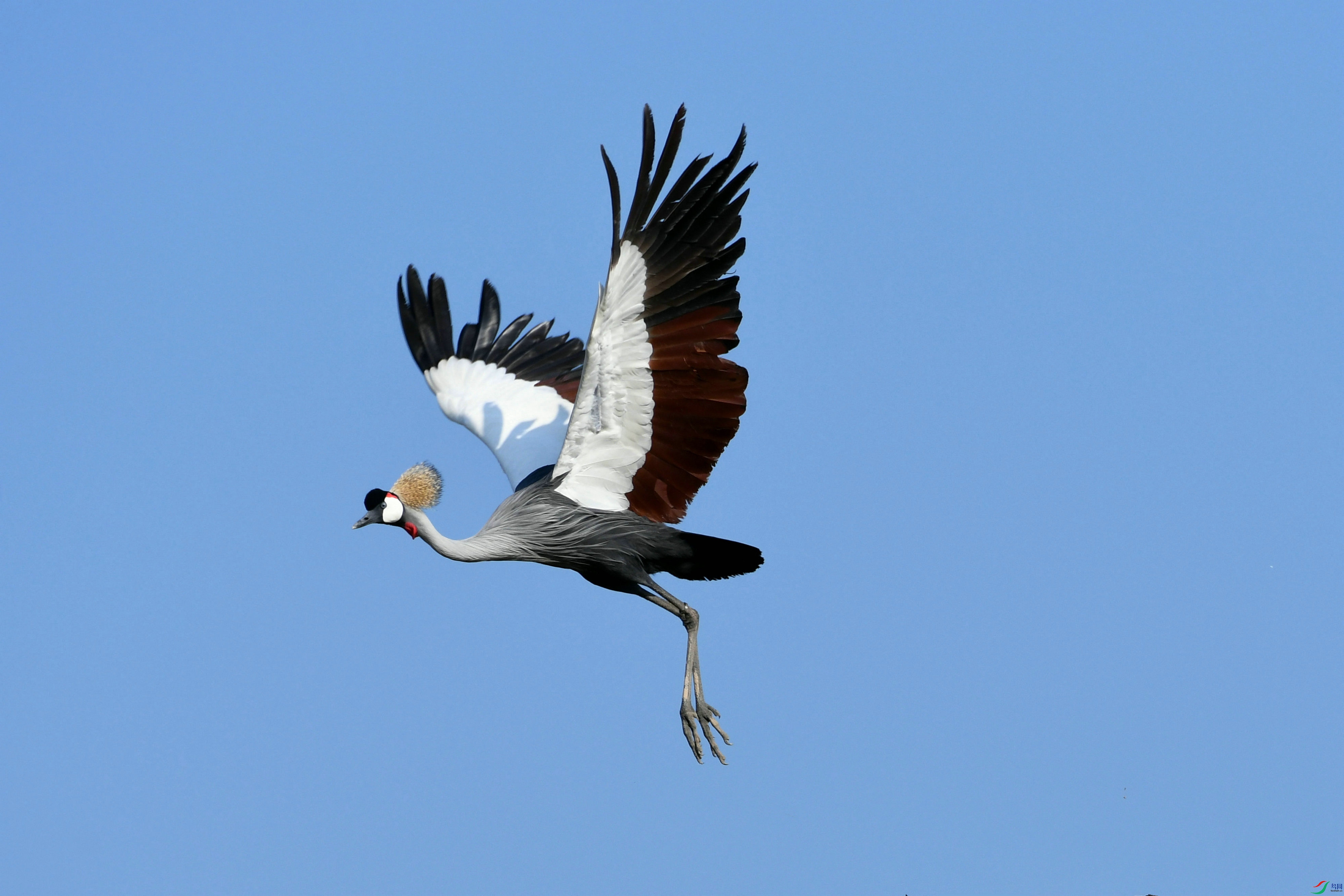 DSC_3356.JPG