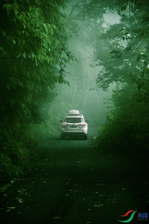 QJY_3973�ĸ���.jpg