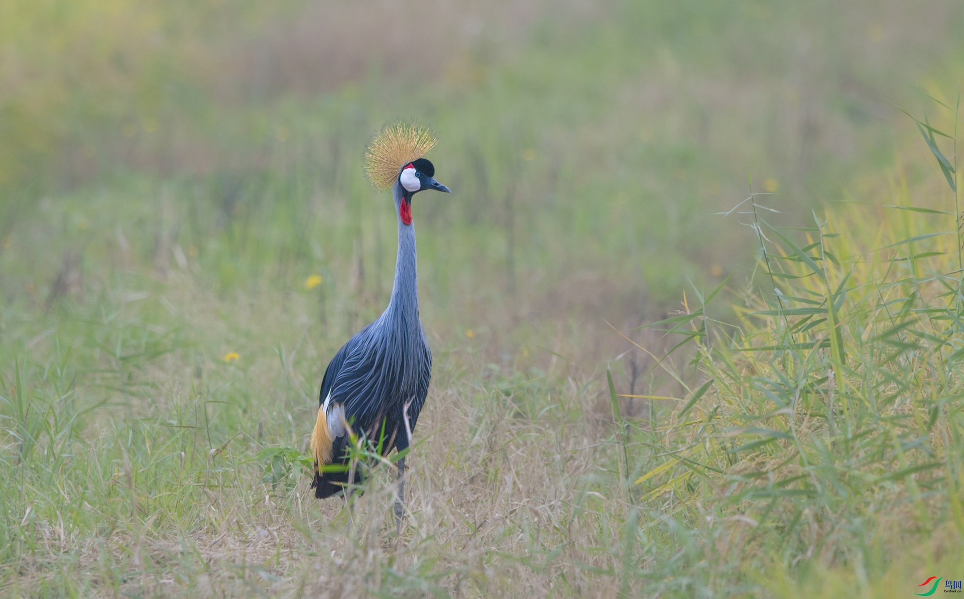 DSC_4144.jpg