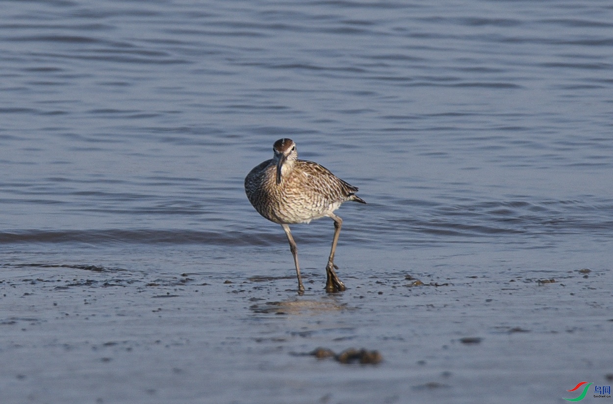 DSC_0307.jpg
