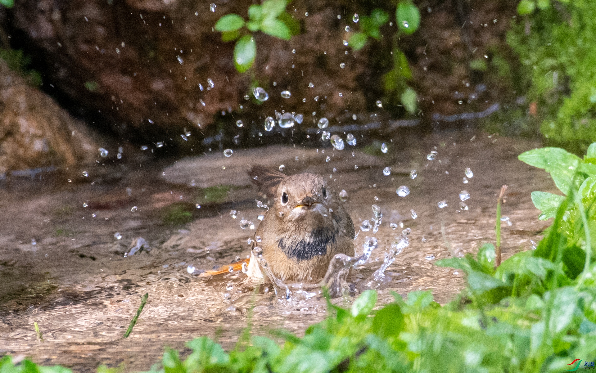 DSC_2151.jpg