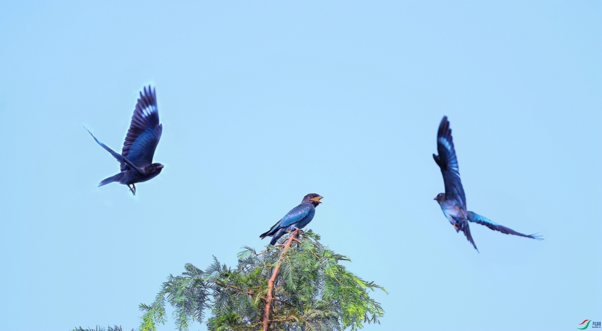 DSC_6827.jpg