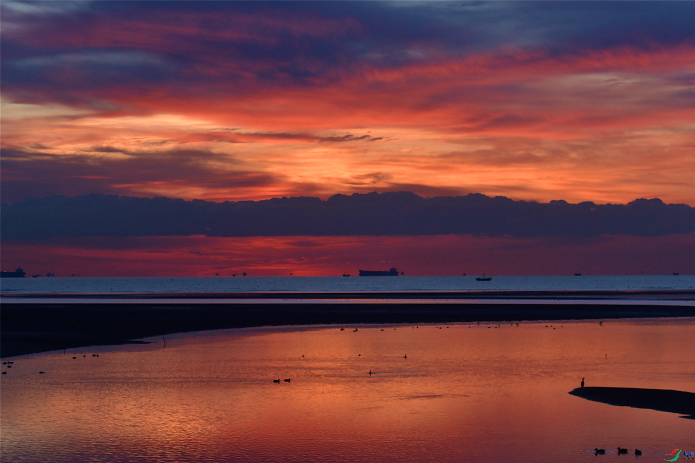 DSC_7362.JPG