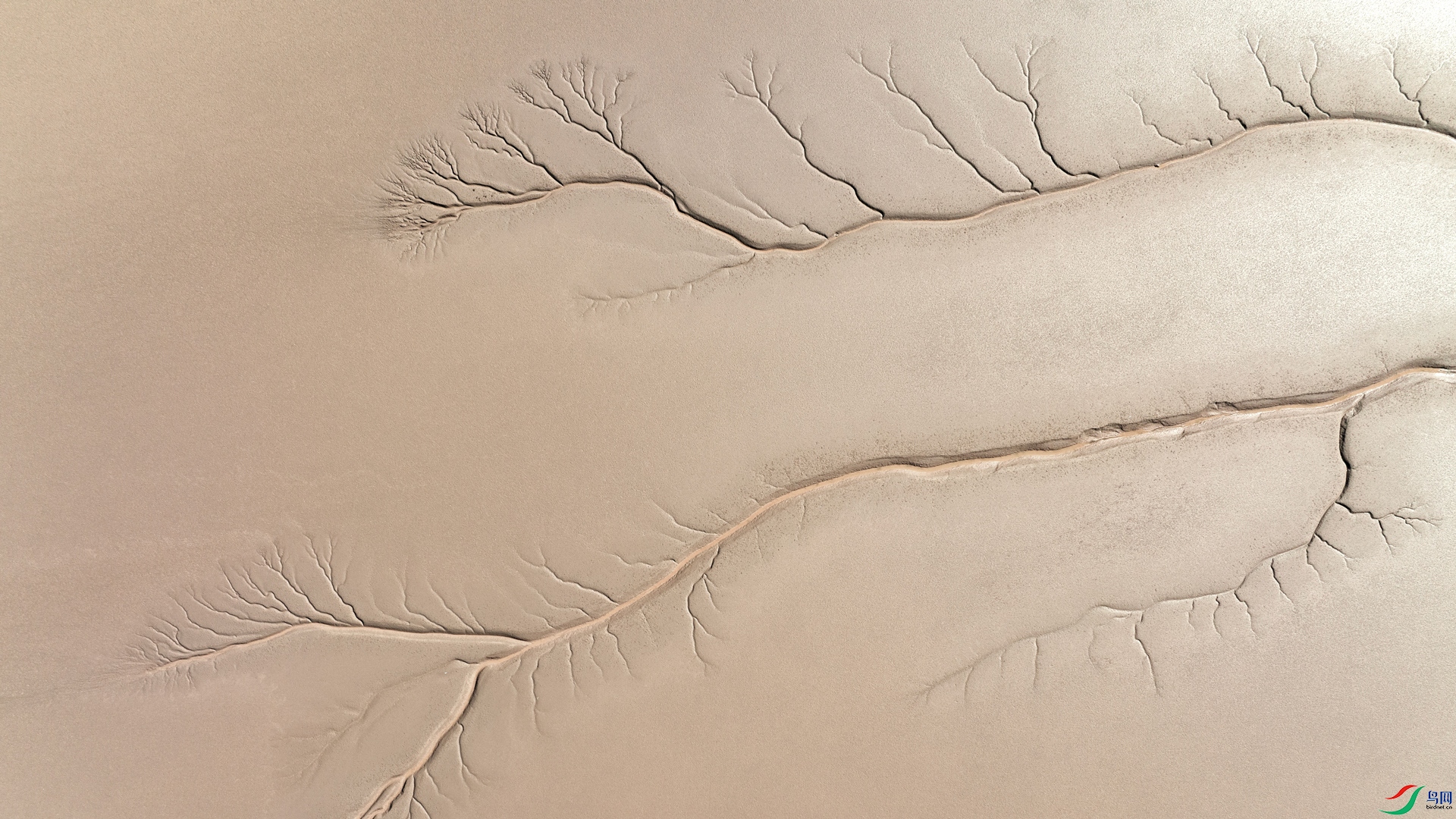 DJI_0086.jpg