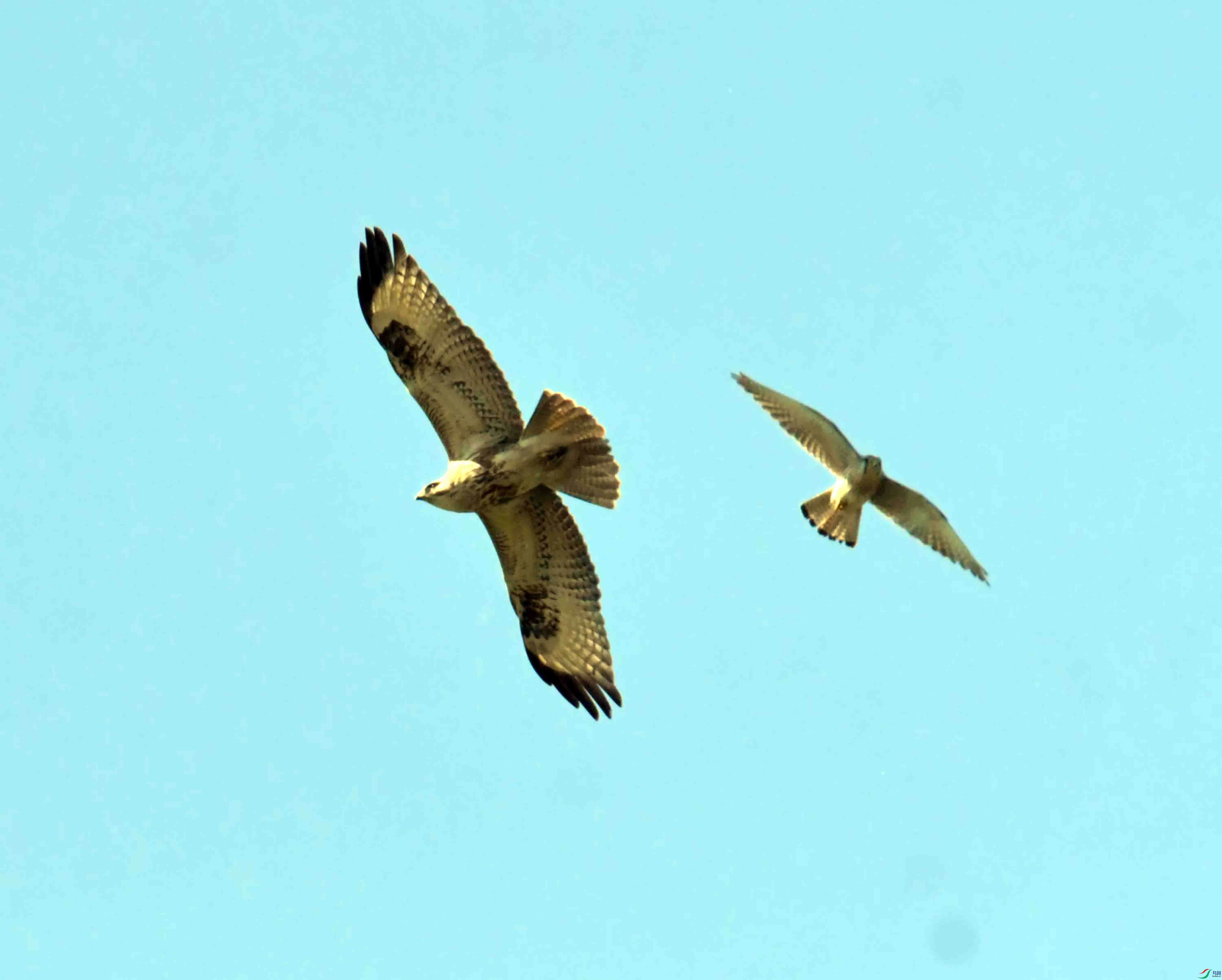 DSC_9834.JPG