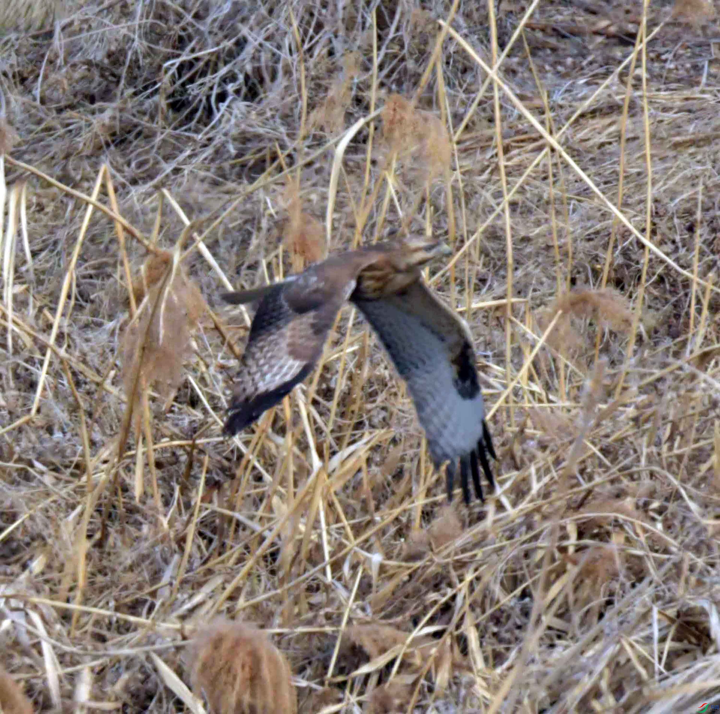 DSC_9891.JPG