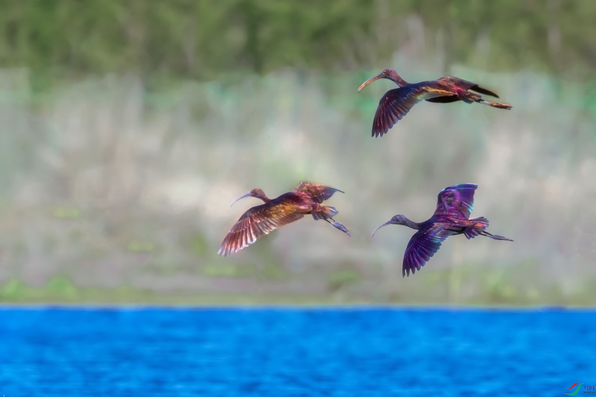 ���q----������Ӱ