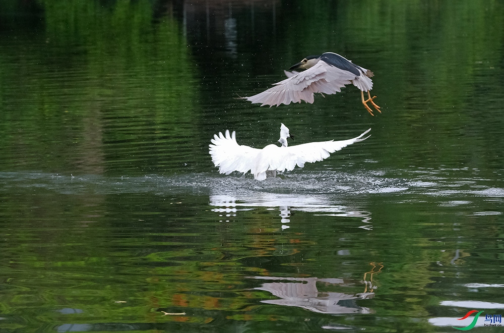 DSCF5290.1.jpg