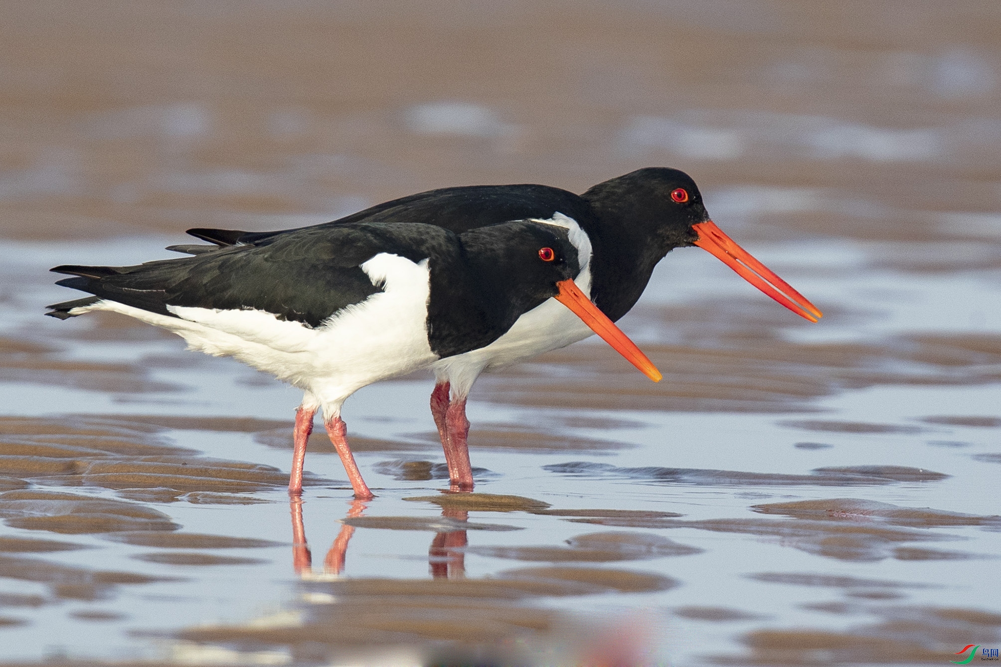 _90I9336 ���� 2.jpg