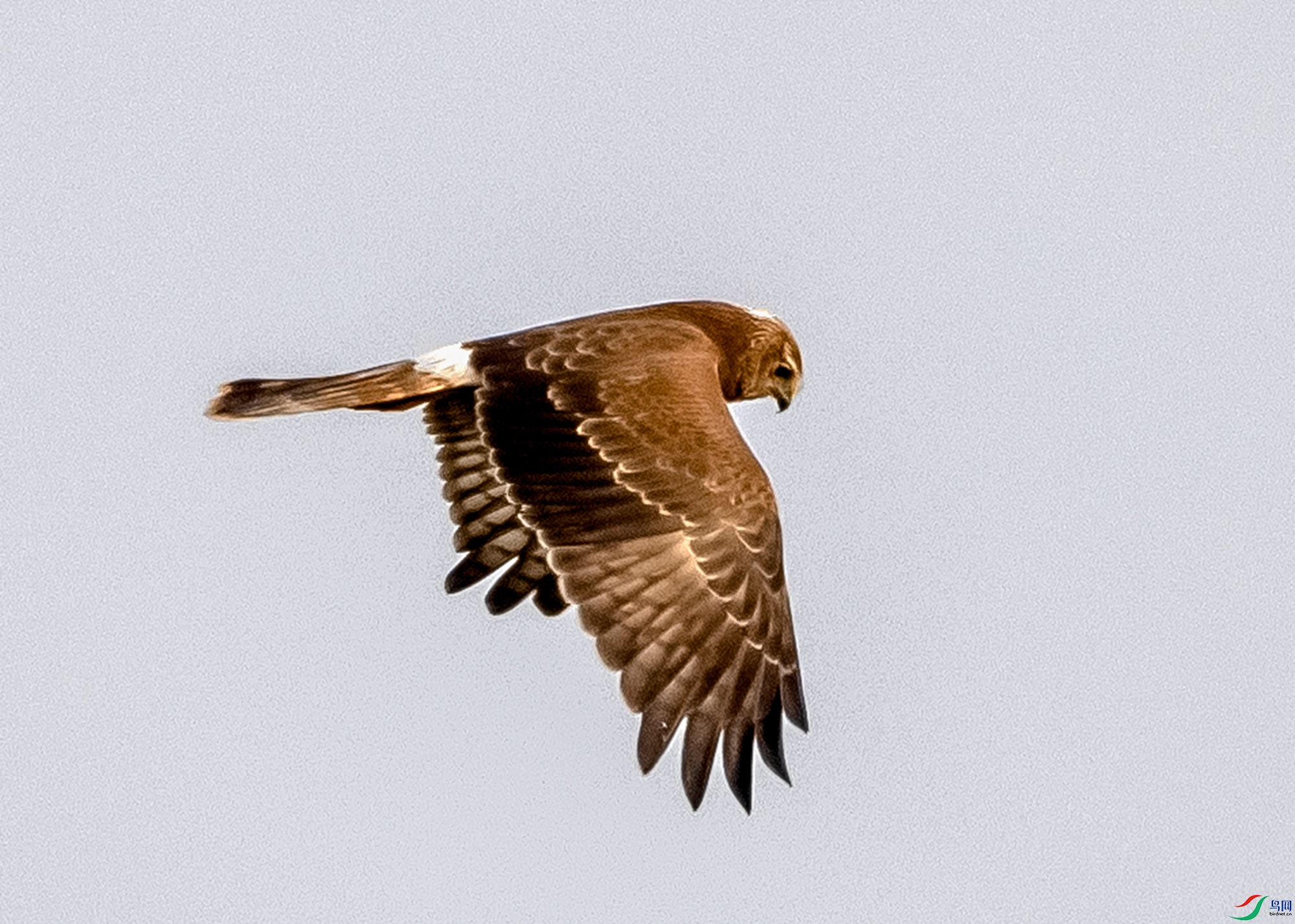 233A8402.jpg