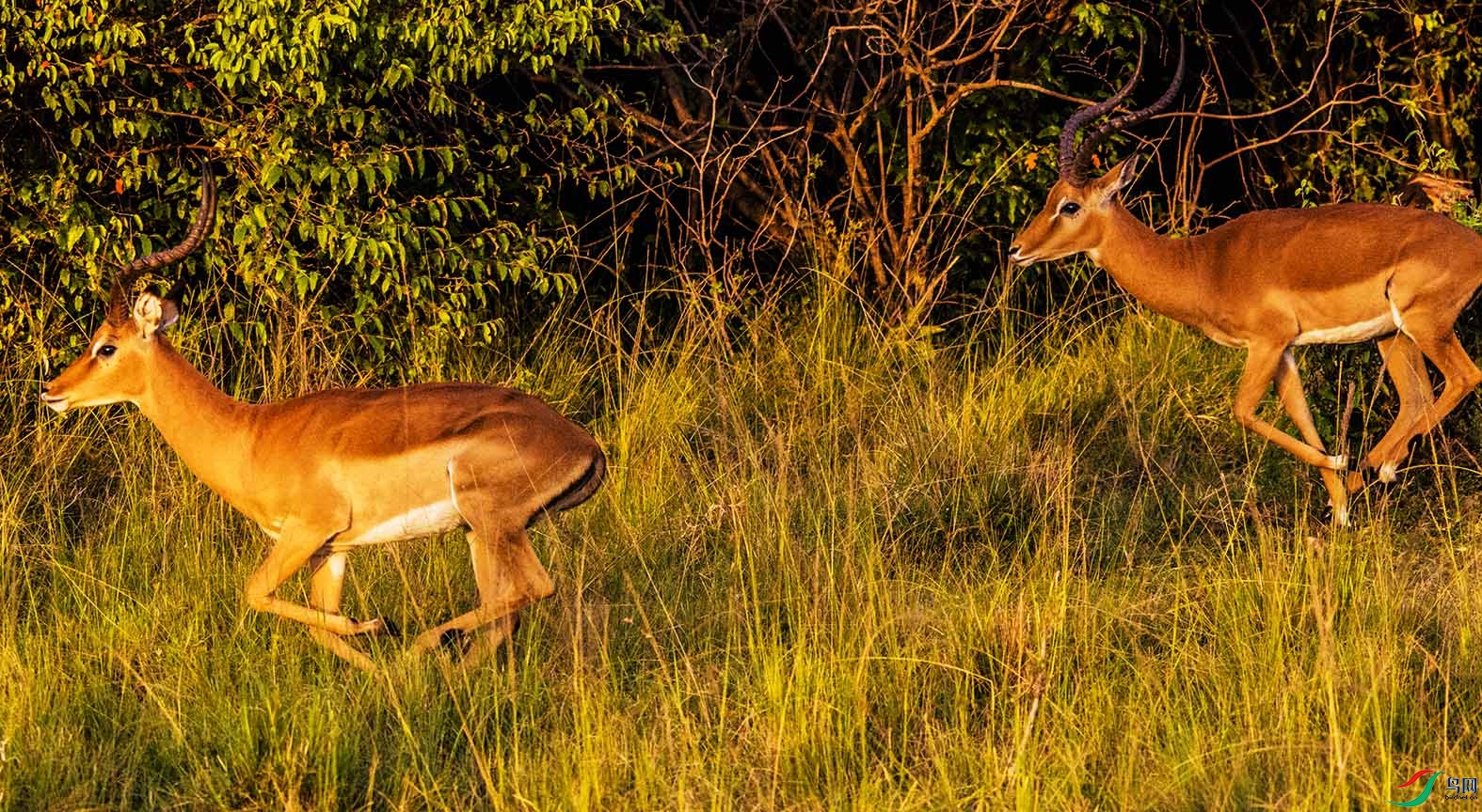 DSC_6173.jpg