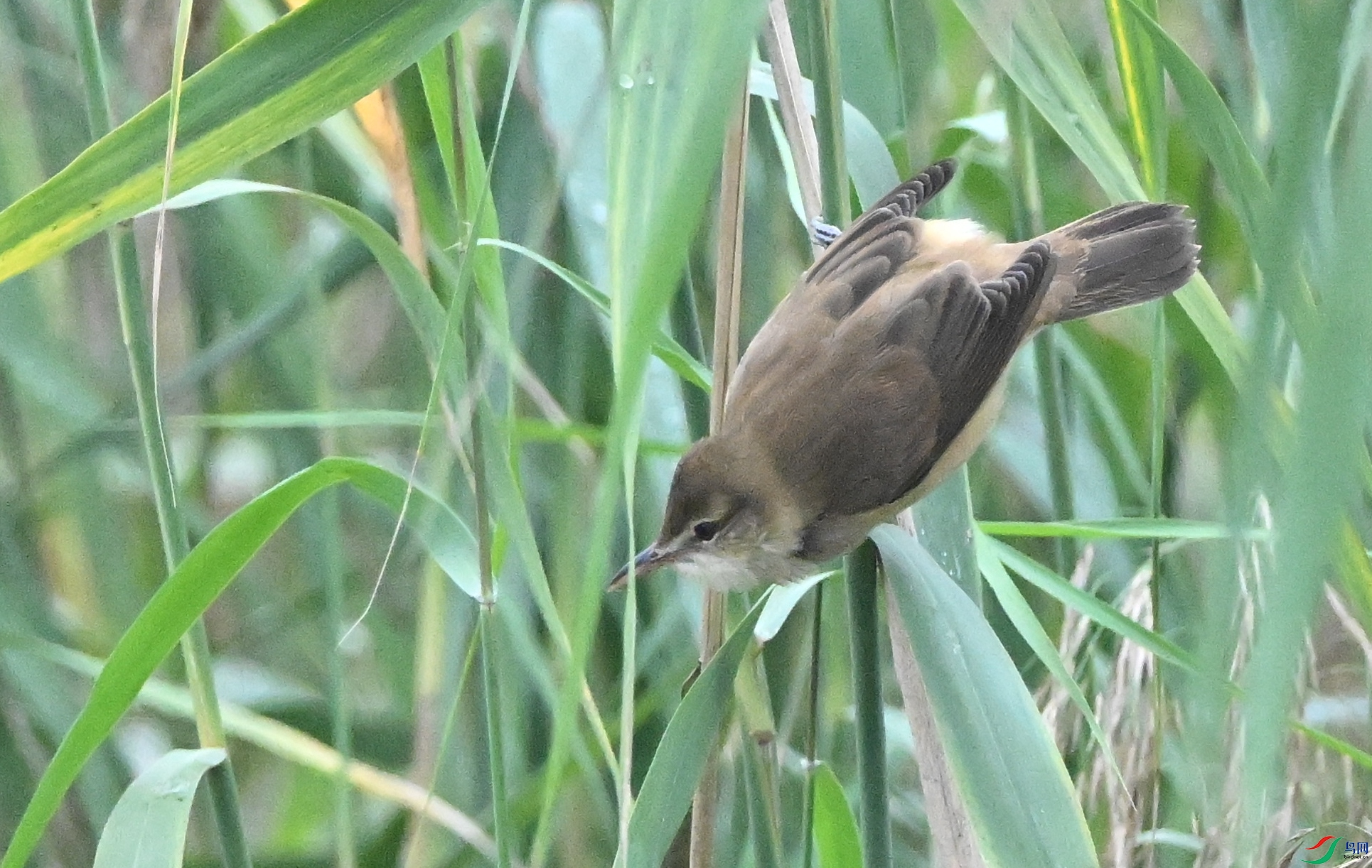 DSC_2018.JPG