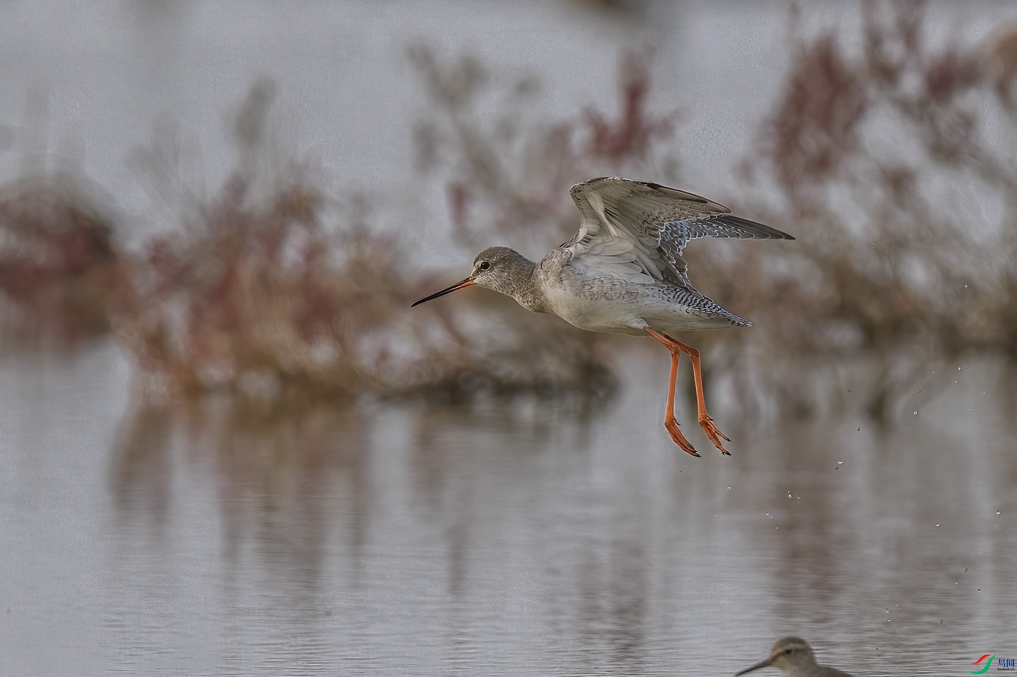 DSC_0535 ����.jpg