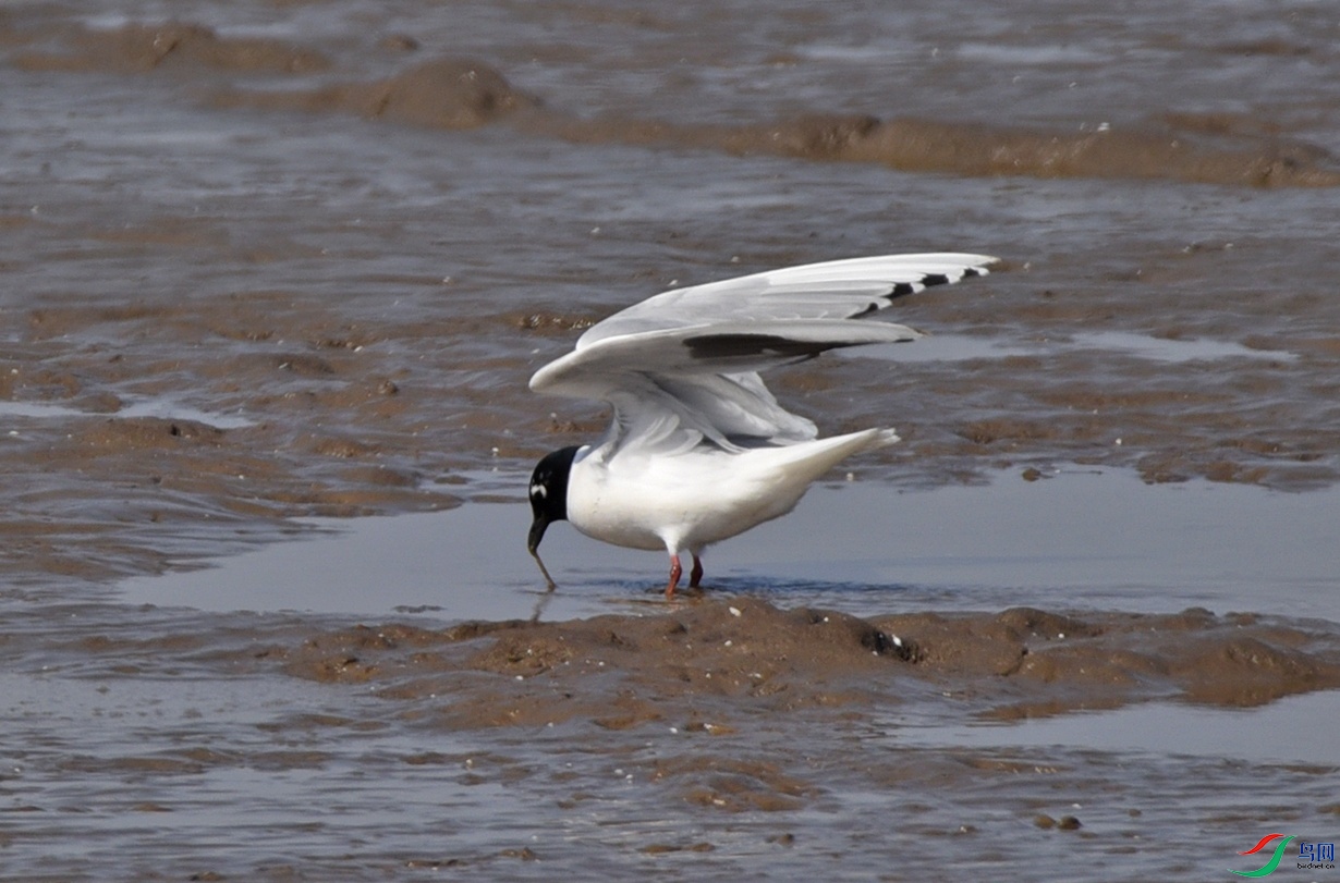 DSC_5009.jpg