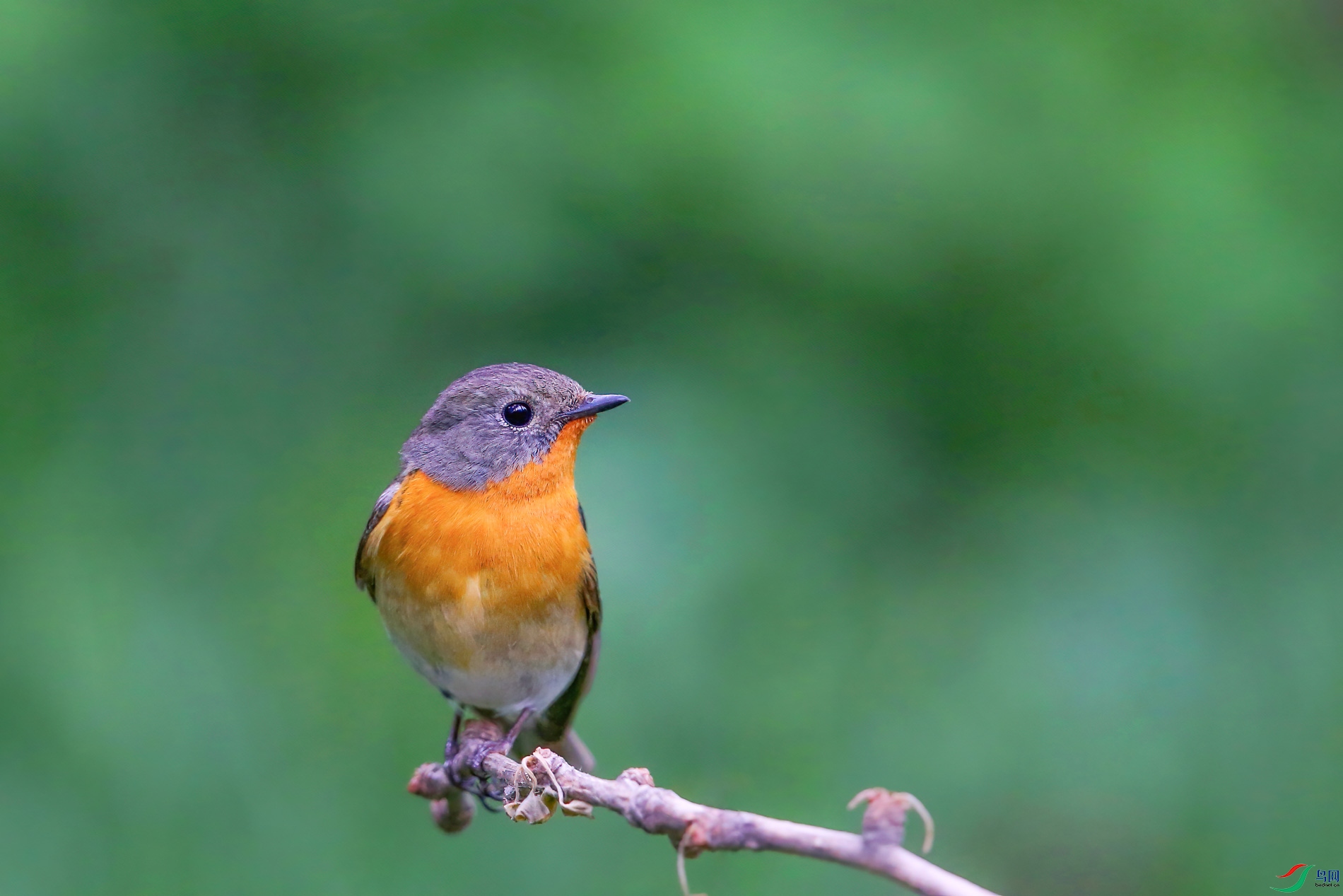 AQ4P0243-1.jpg