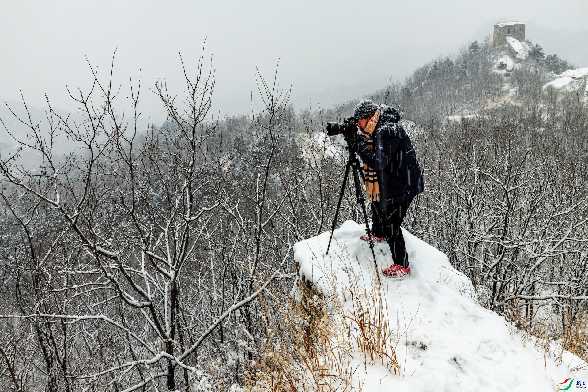 ��׽˲��                                 ��Ӱ�������ڱ�¥̨              -1.jpeg