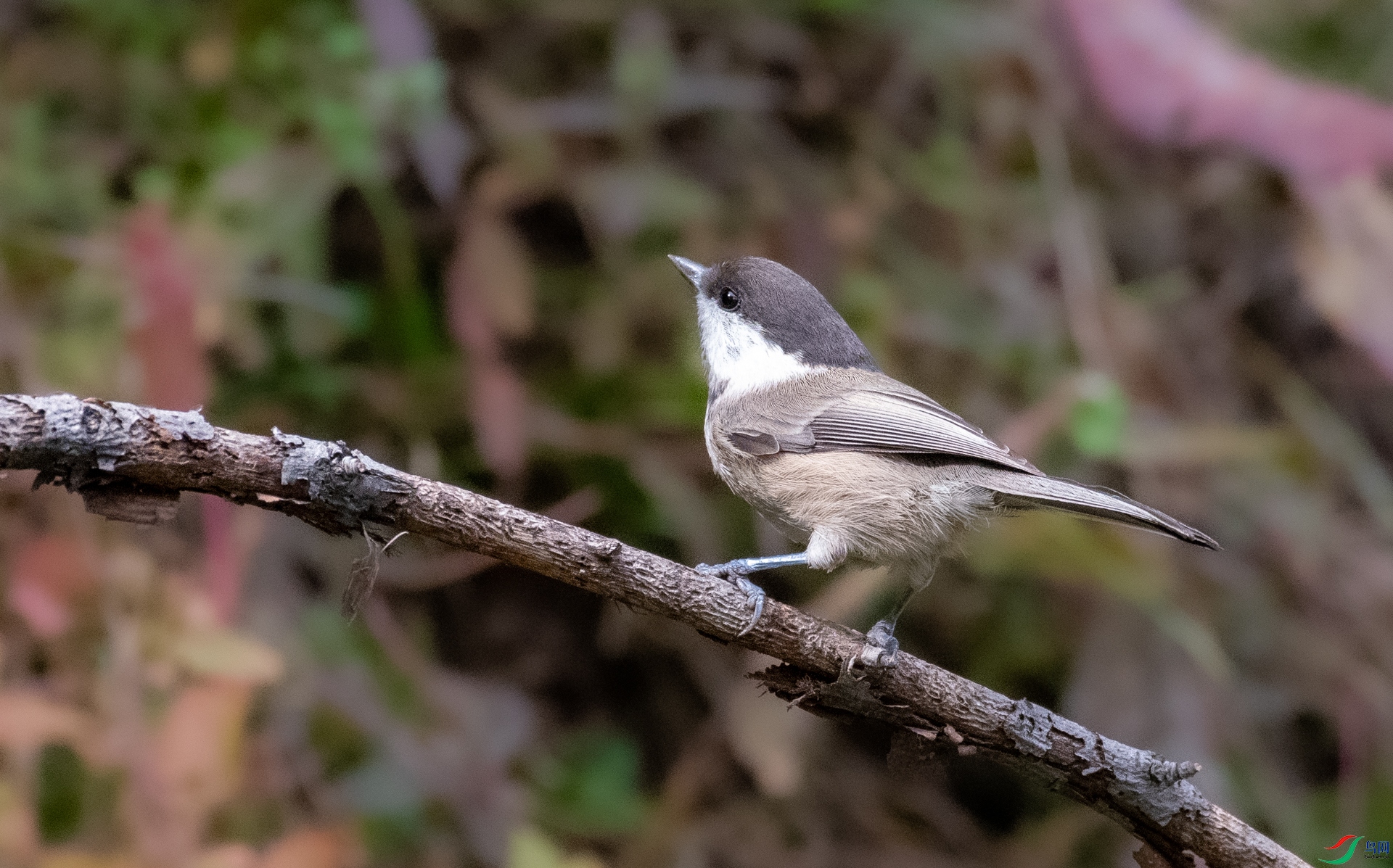 DSC_3314.jpg