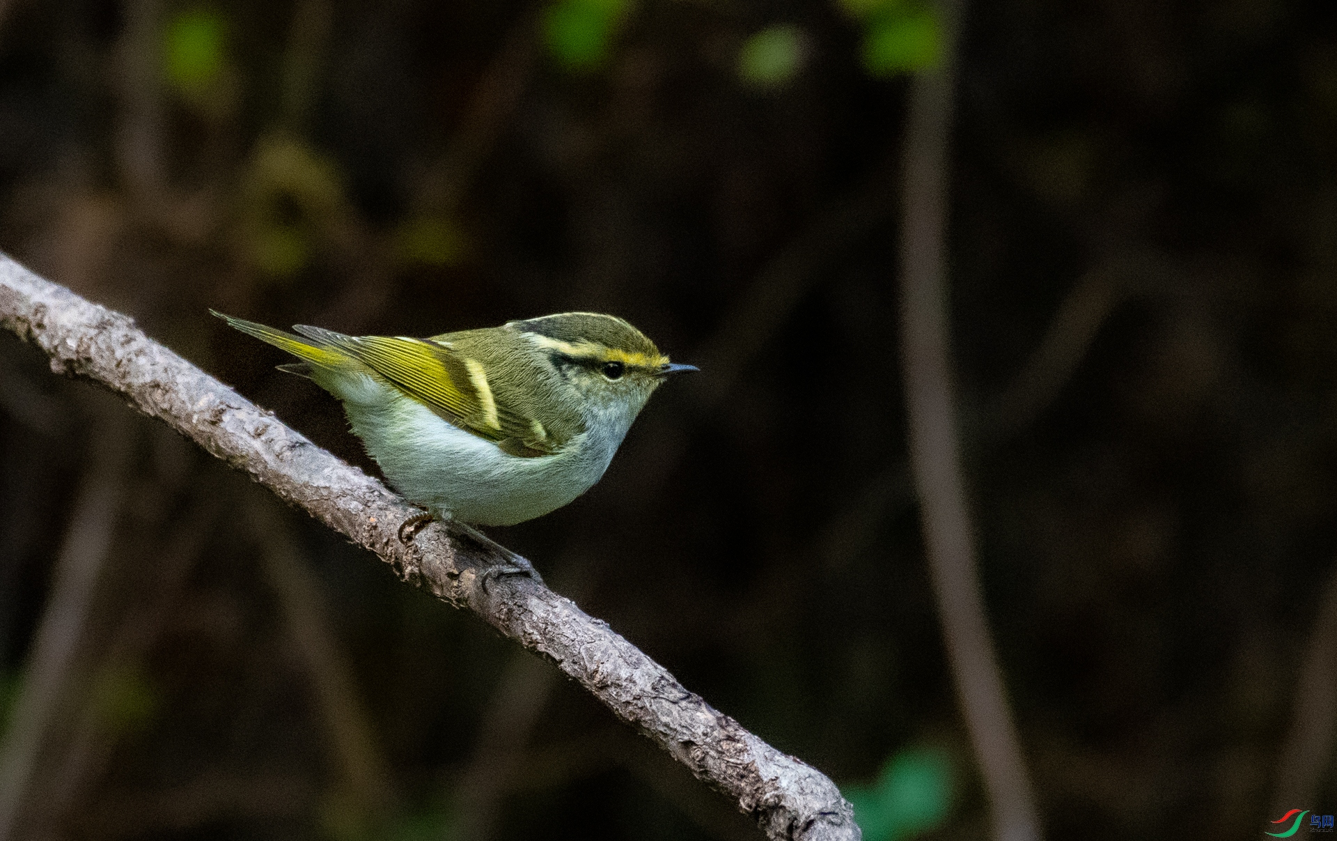 DSC_3357.jpg