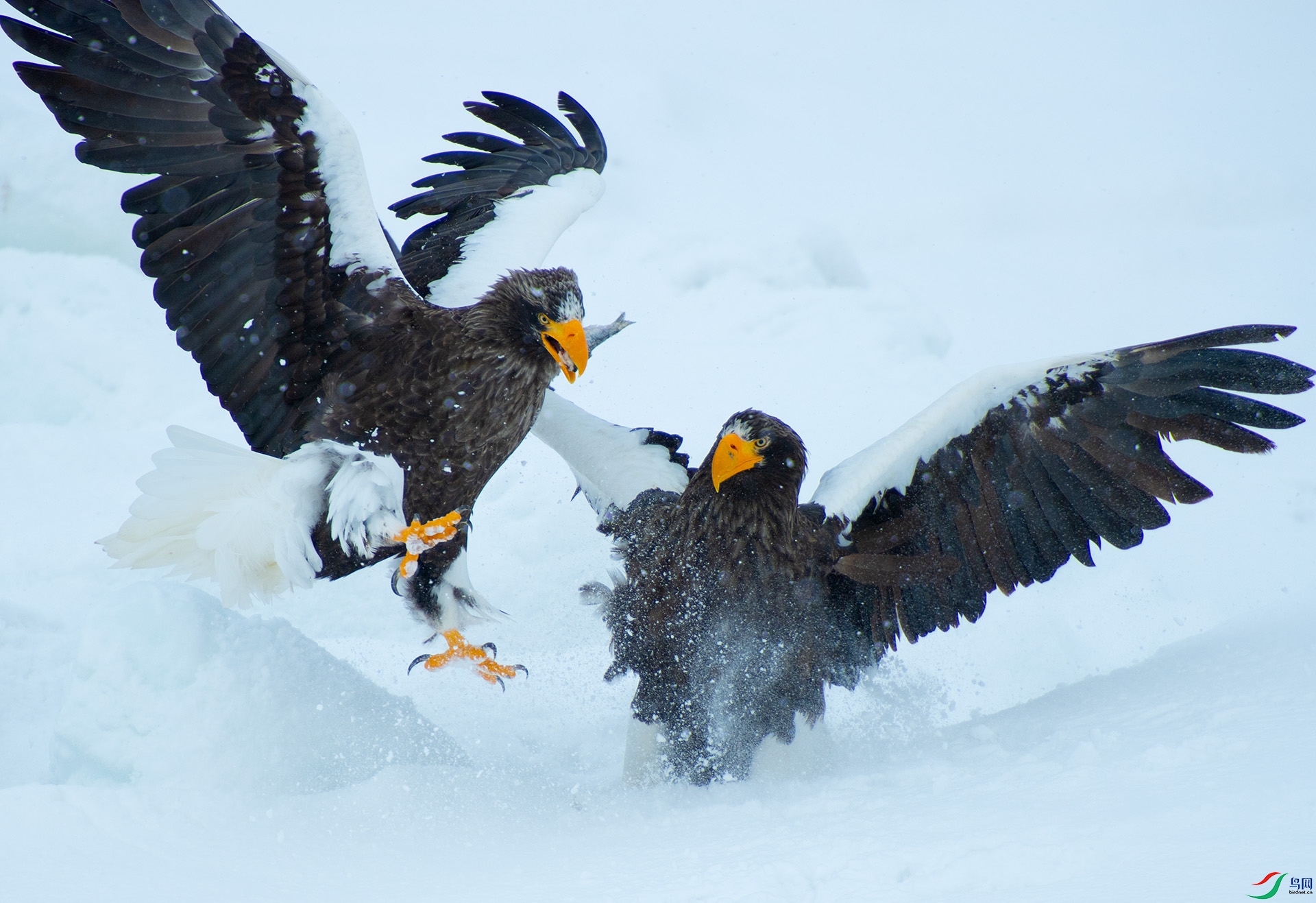 ��DSC_9862 ��ؐ.jpg