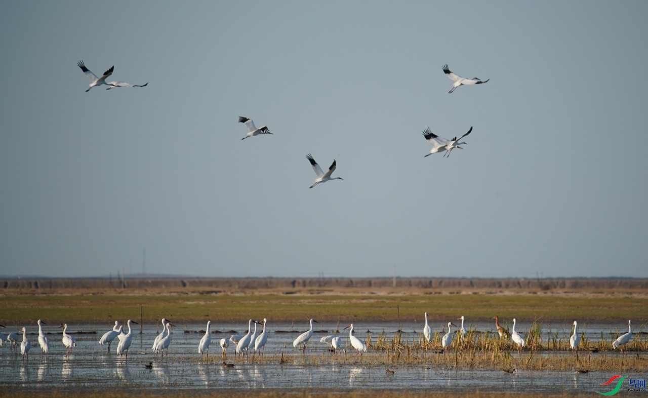 52CE26CC-62D3-47F7-B8F2-EB5D6C066EEE.jpeg