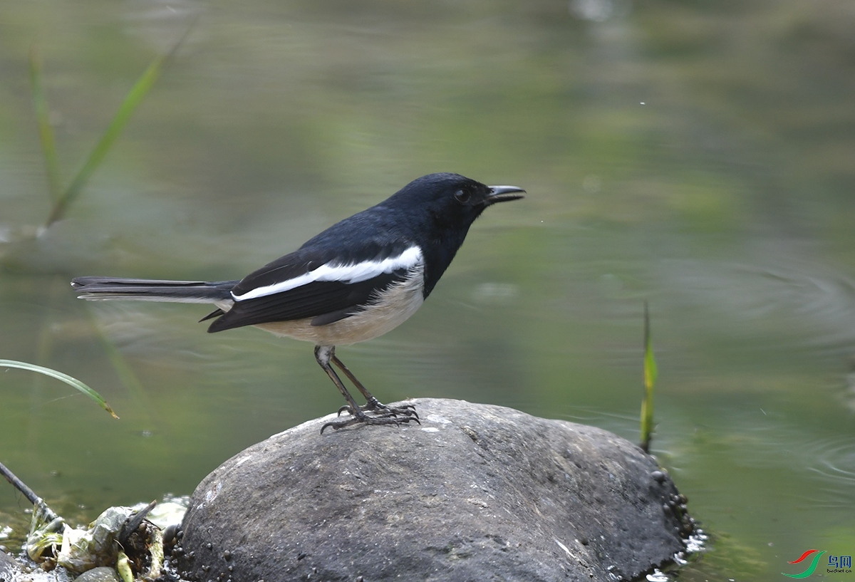 DSC_0033.JPG