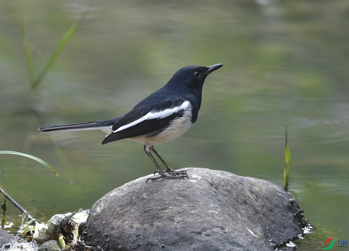 DSC_0031.JPG