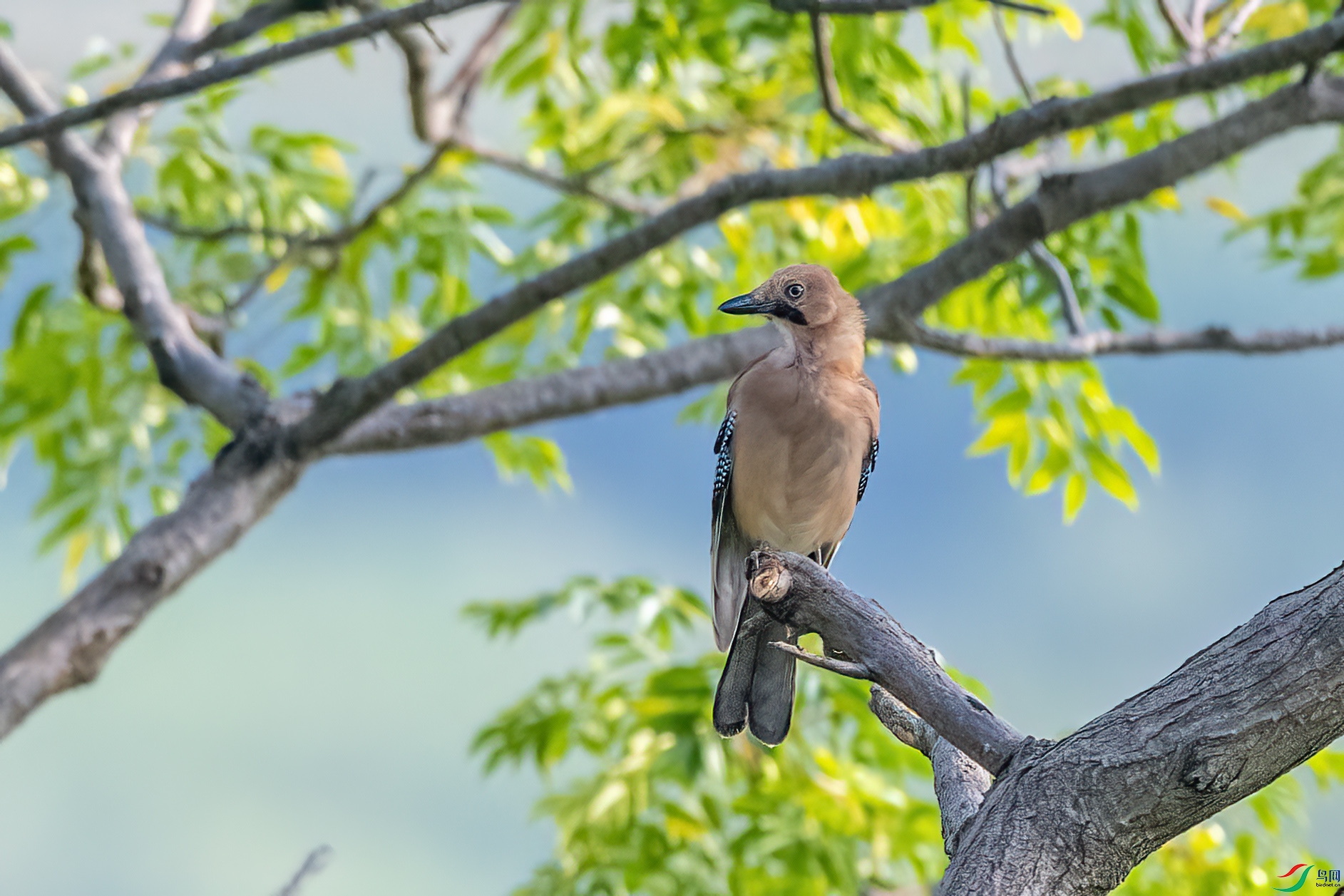 DSC_7656.jpg