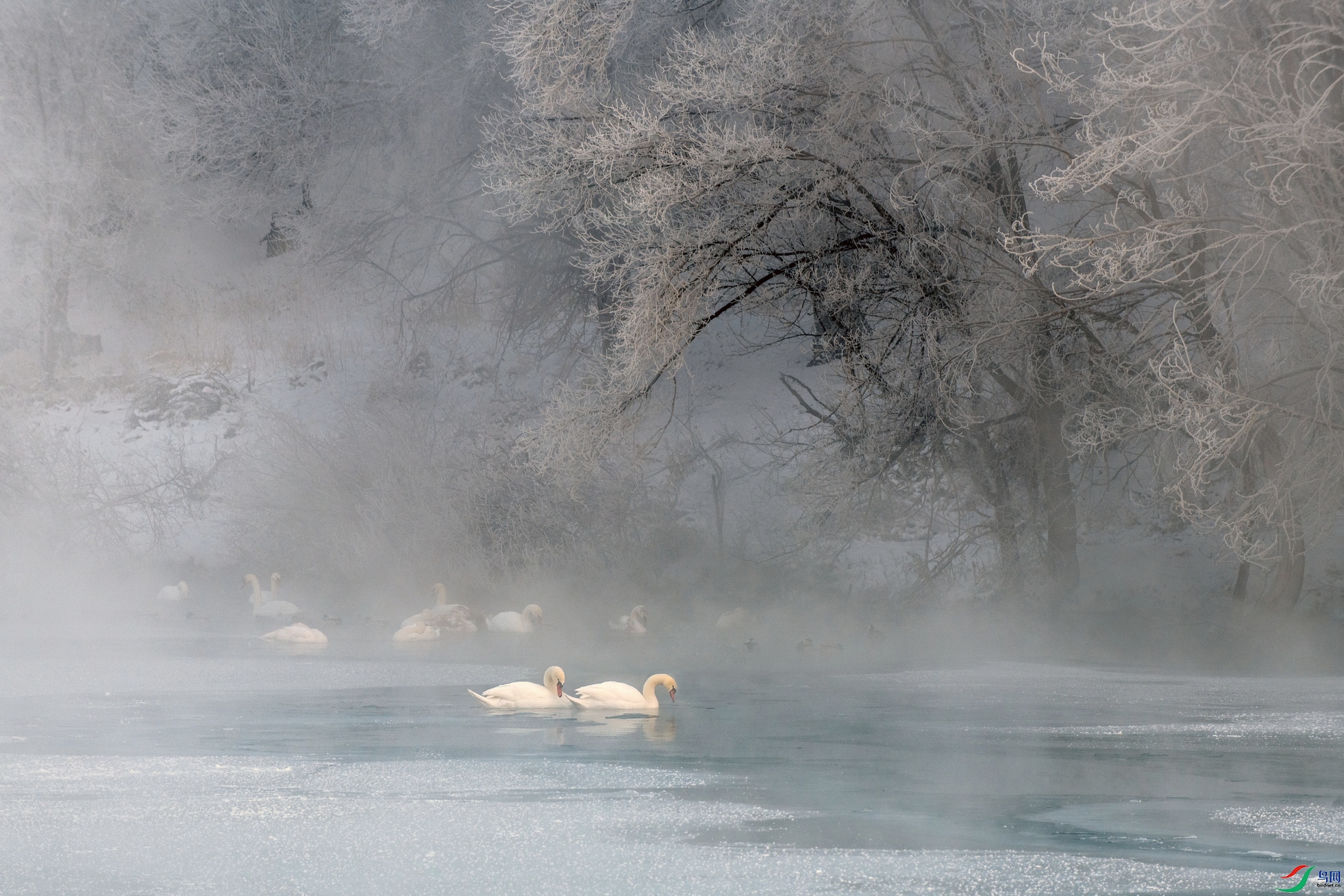 DSC_1169 ���� 2F01.jpg