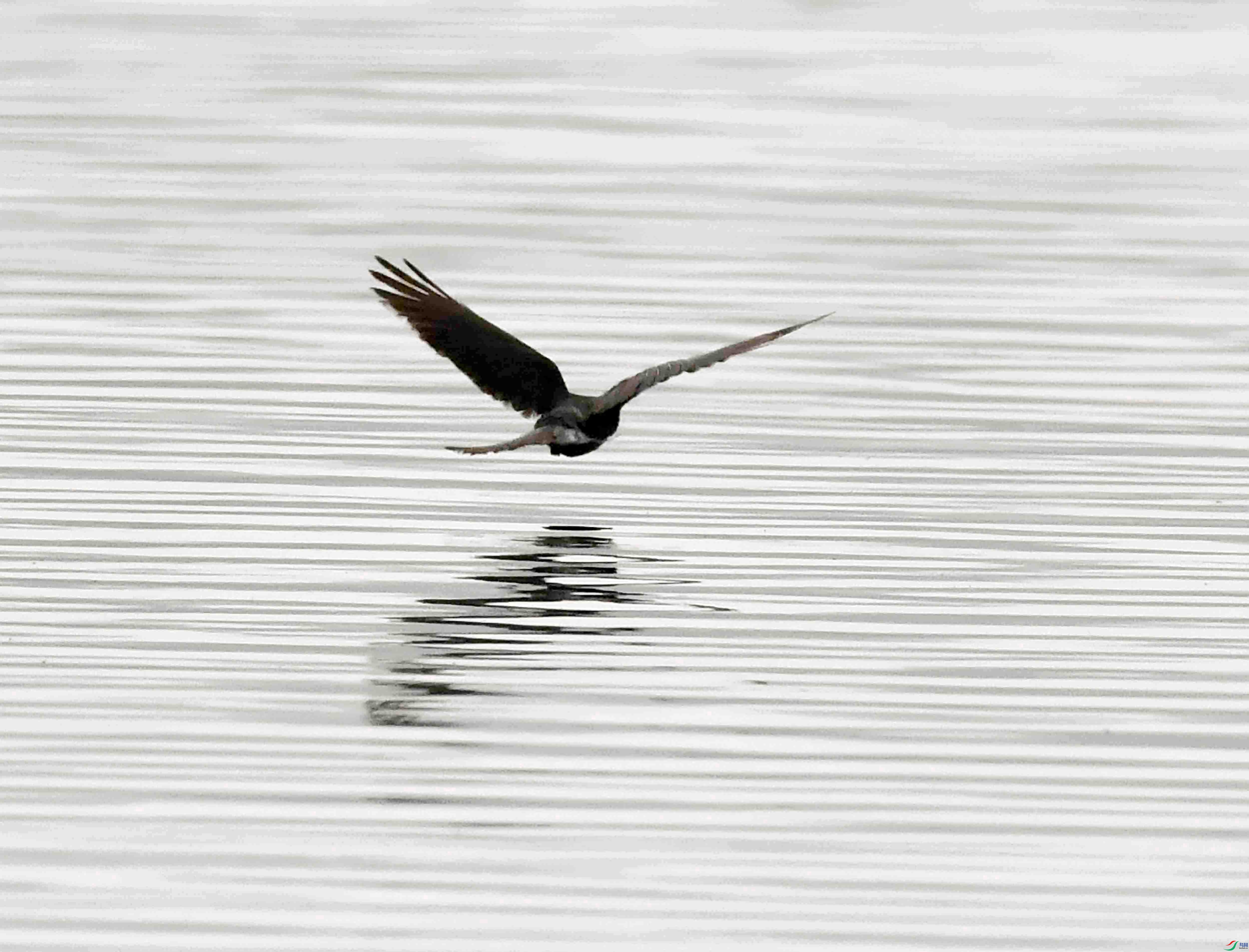 DSC_9977.JPG