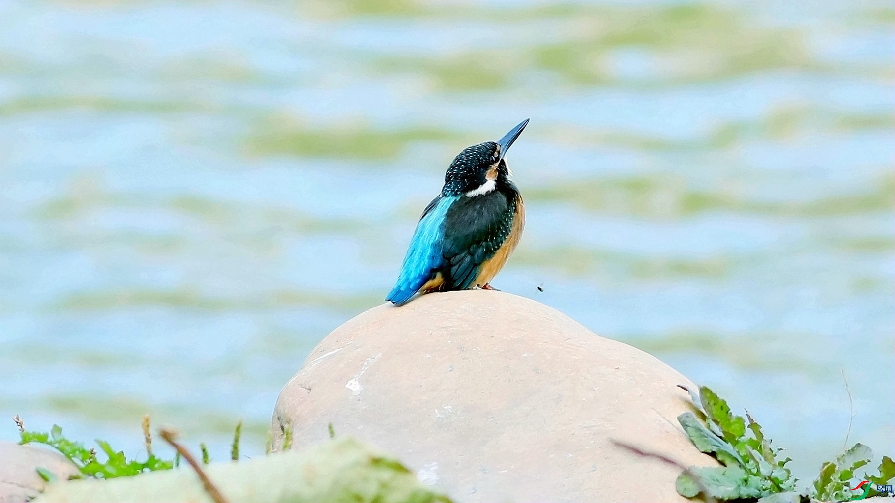 С������