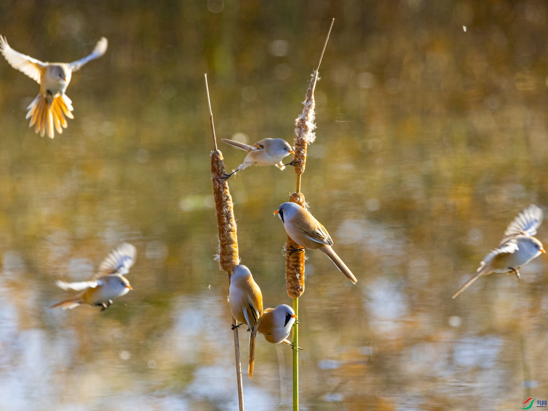 1K3A3809 ����1.jpg