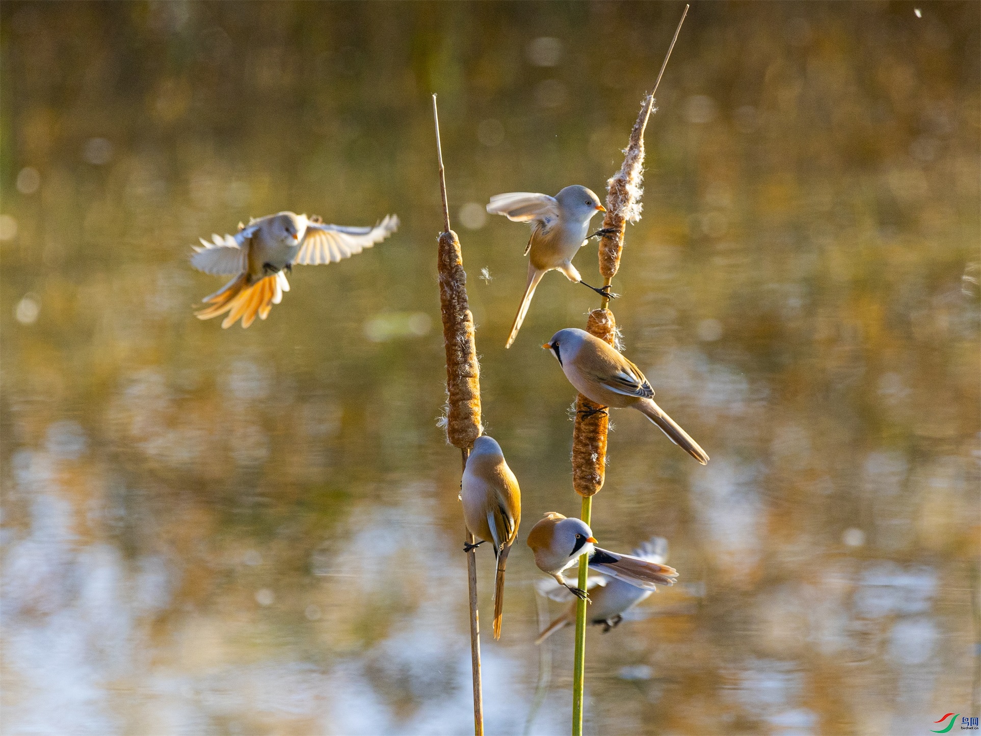 1K3A3811 ����1.jpg