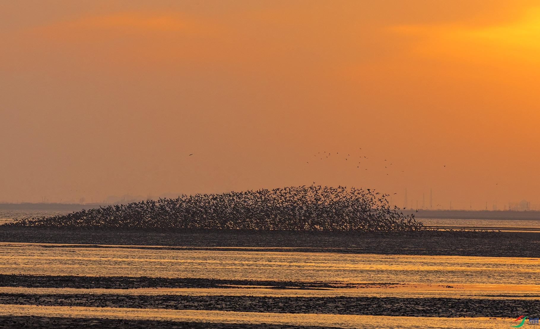 034A2272 ����.jpg