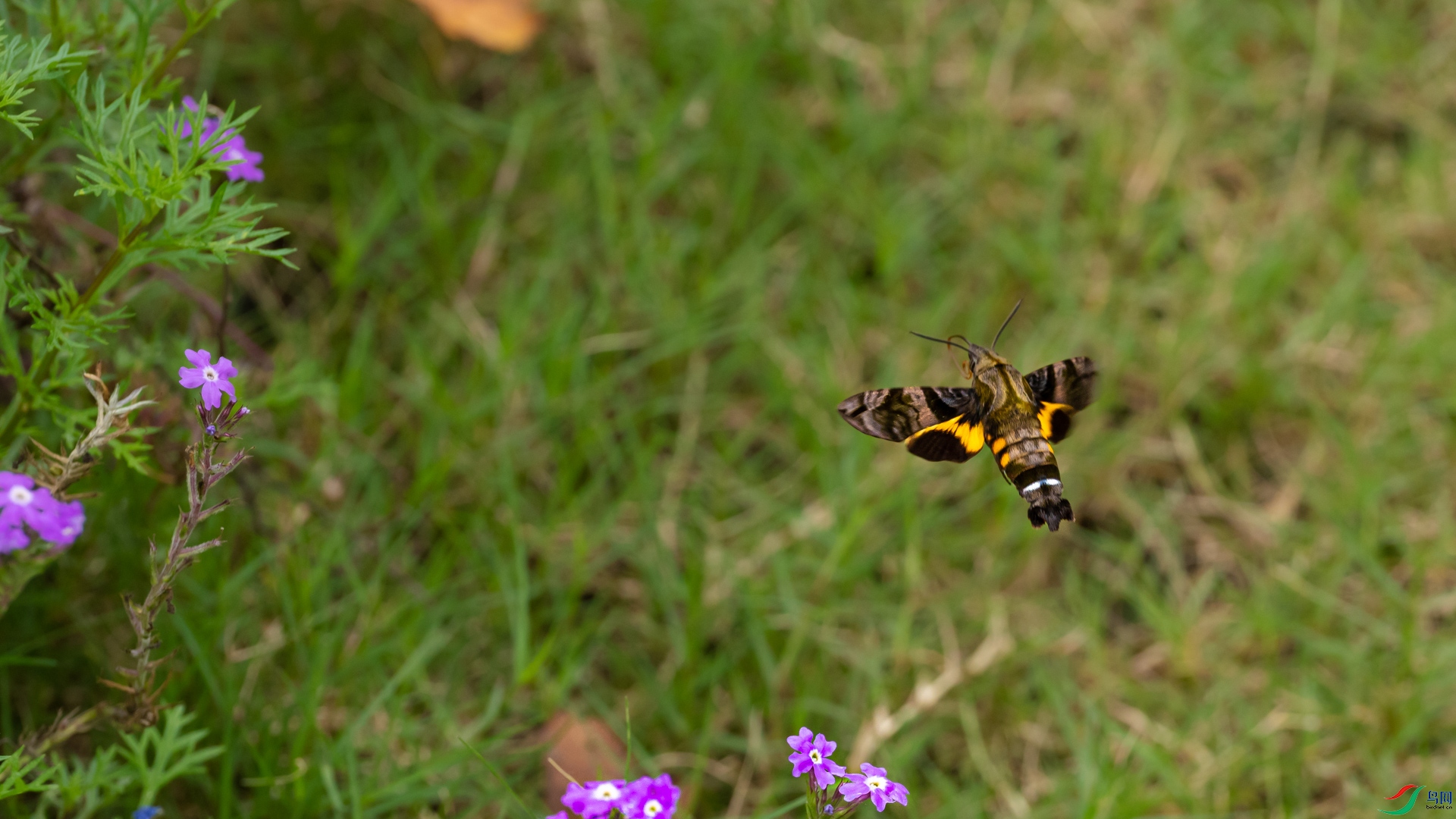 7R005503.jpg