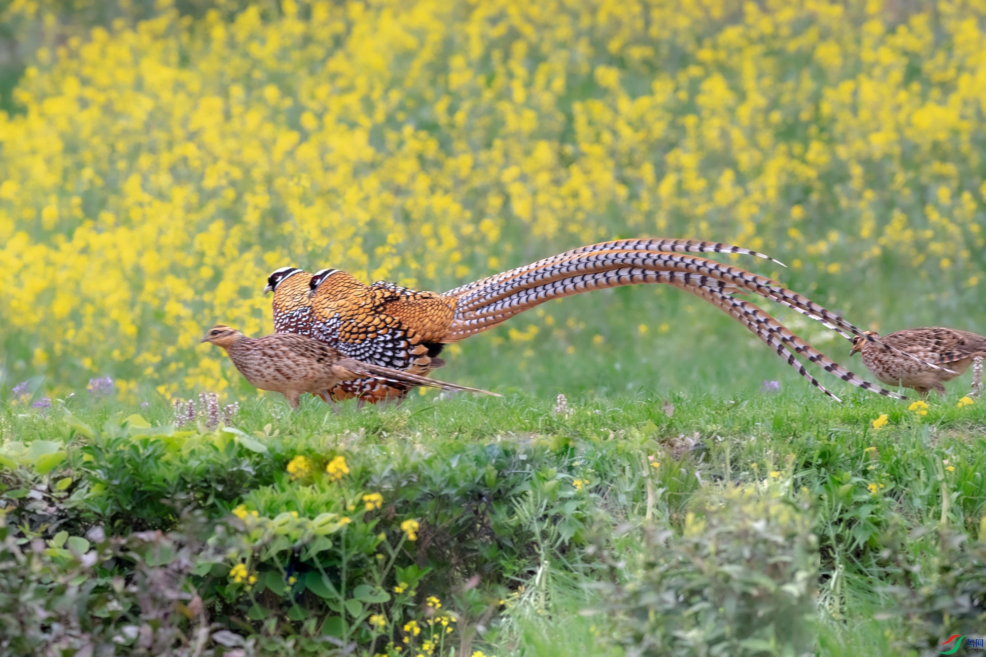 AAE_0215.jpg