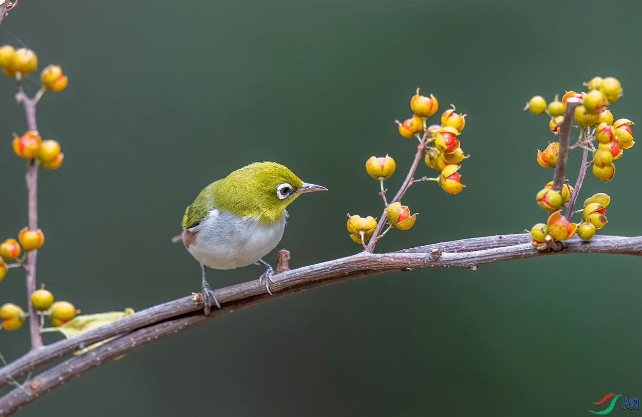 AC3I8603 ����_����.jpg