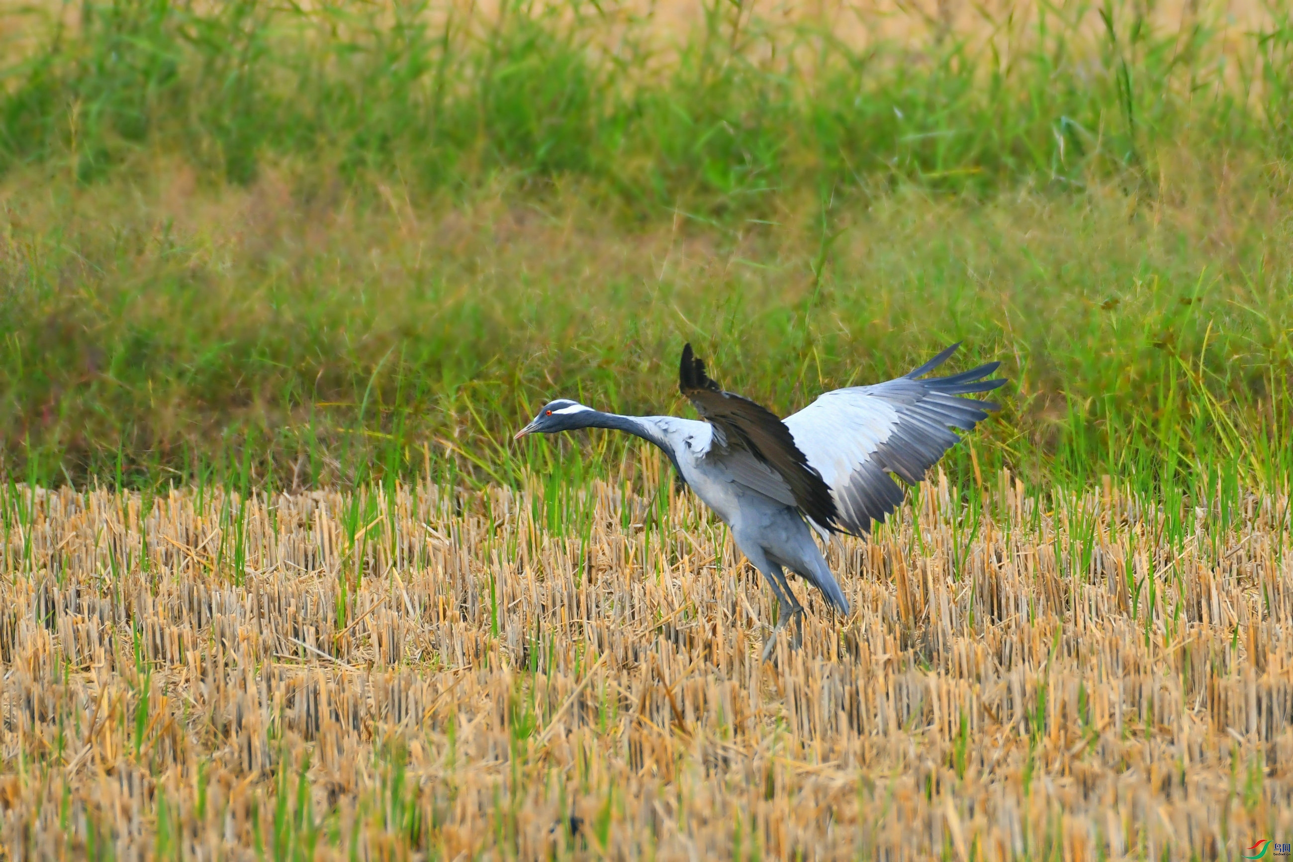 DSC_3954.JPG