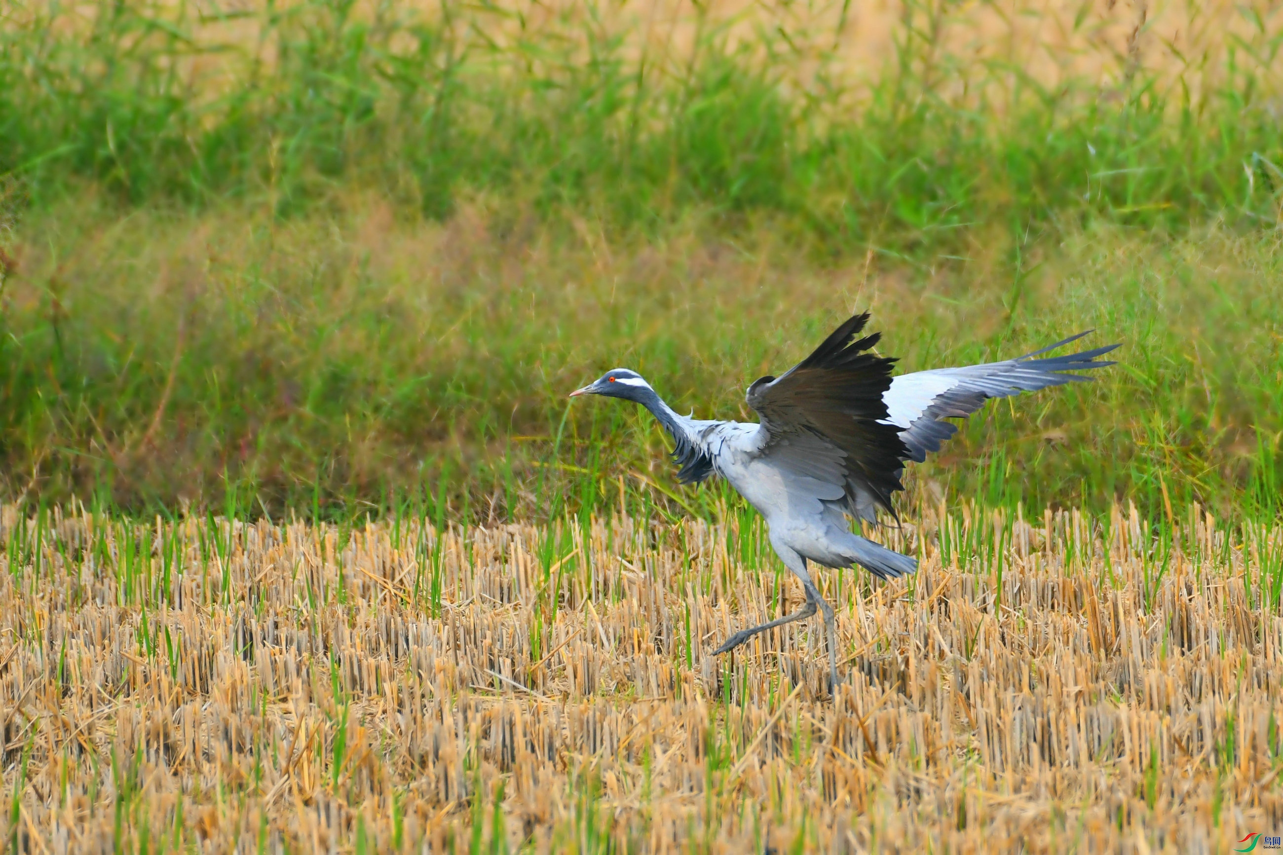 DSC_3959.JPG