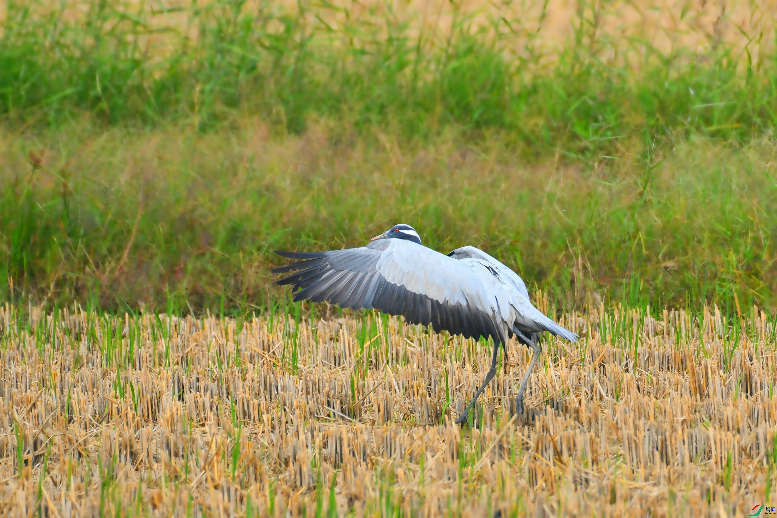 DSC_3960.JPG