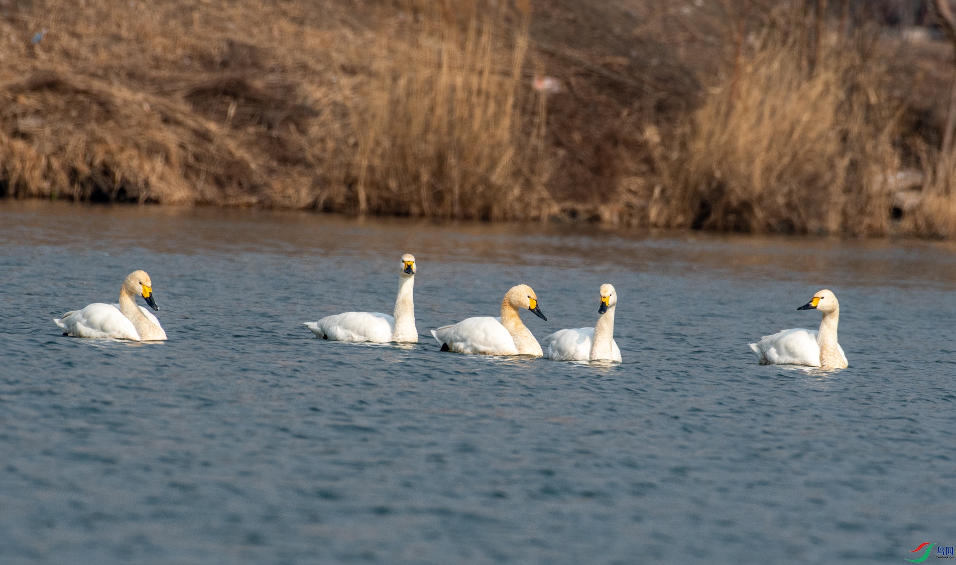 DSC_1093.jpg