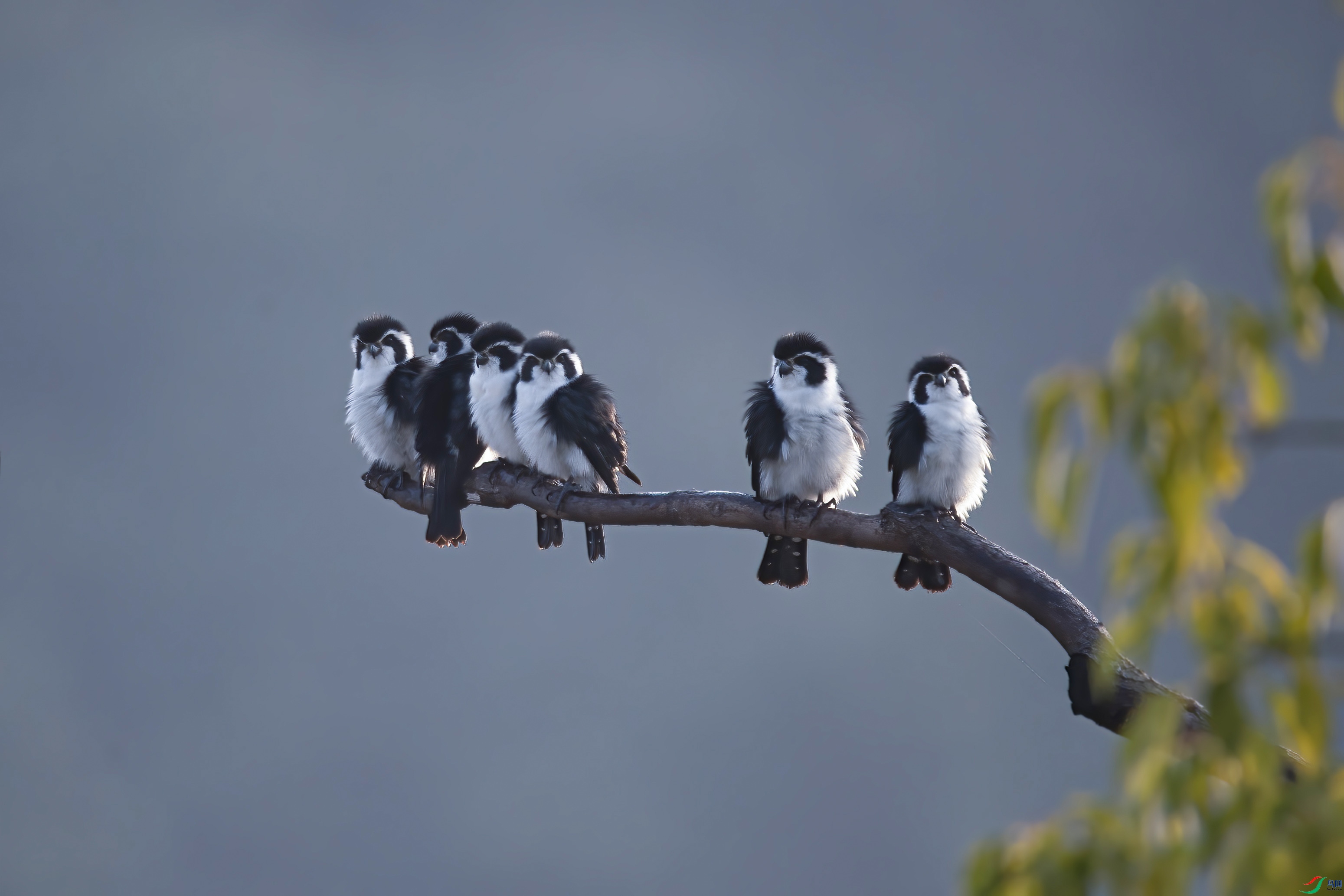 _DSC6890 ���� 2.jpg