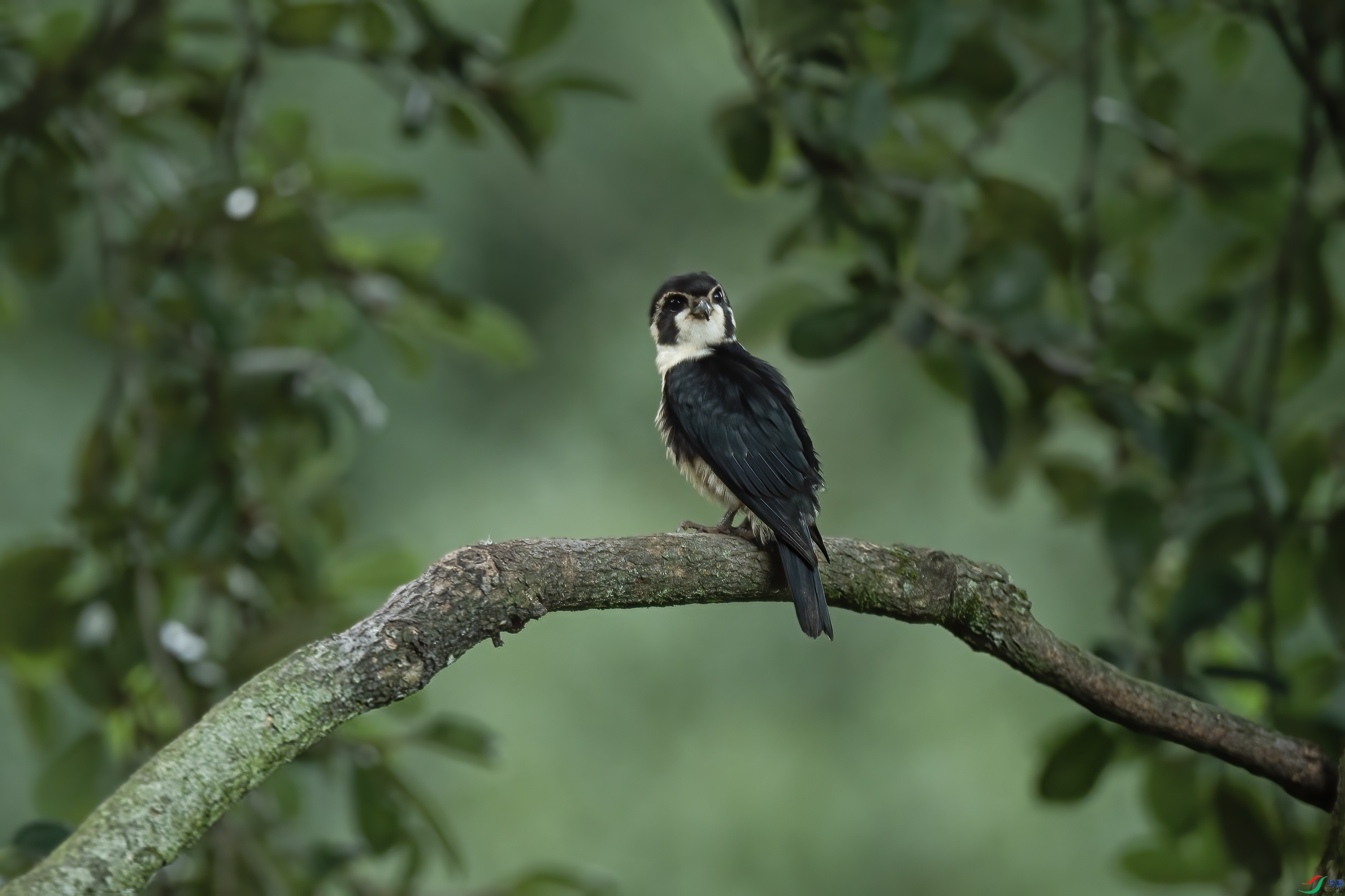 _DSC9123 ����.jpg