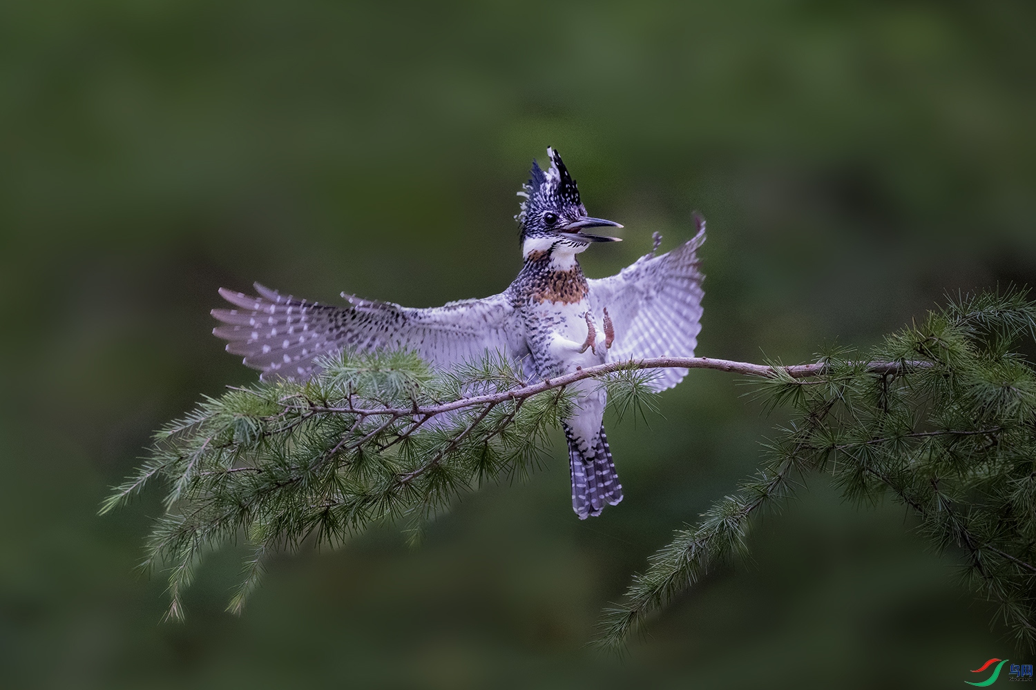DSC_0049.jpg