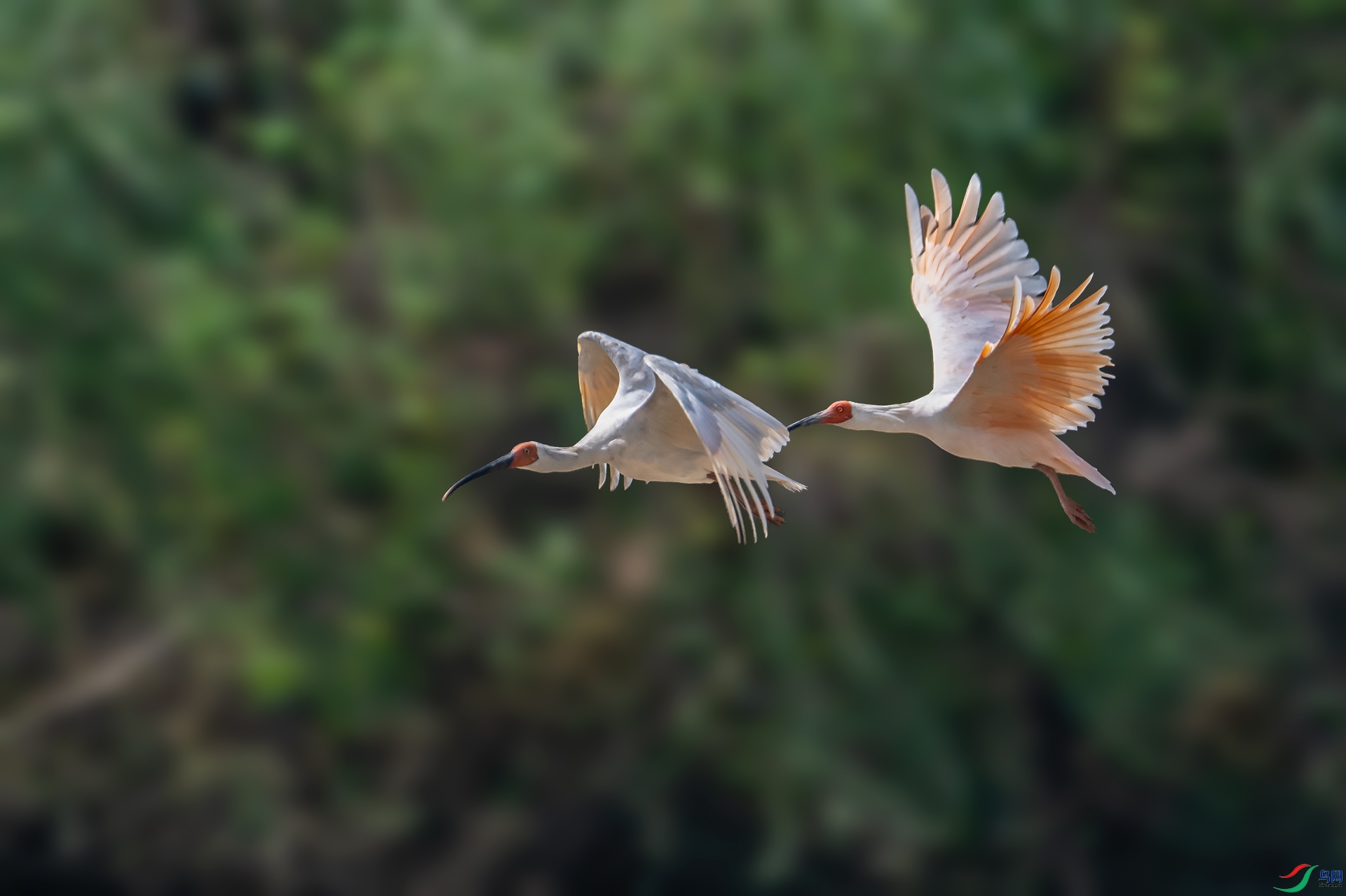 DSC_5168.jpg